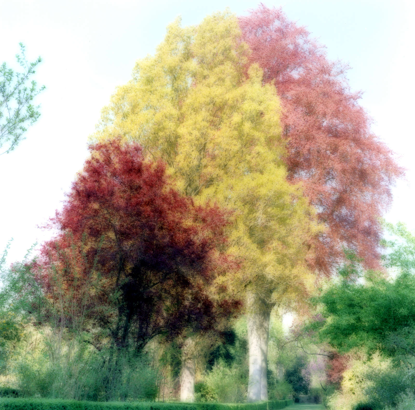 Versailles, France (4-07-24c-12), 2007