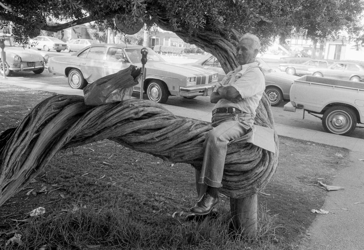 Mark Steinmetz, Pacific Palisades, California, 1983-1984