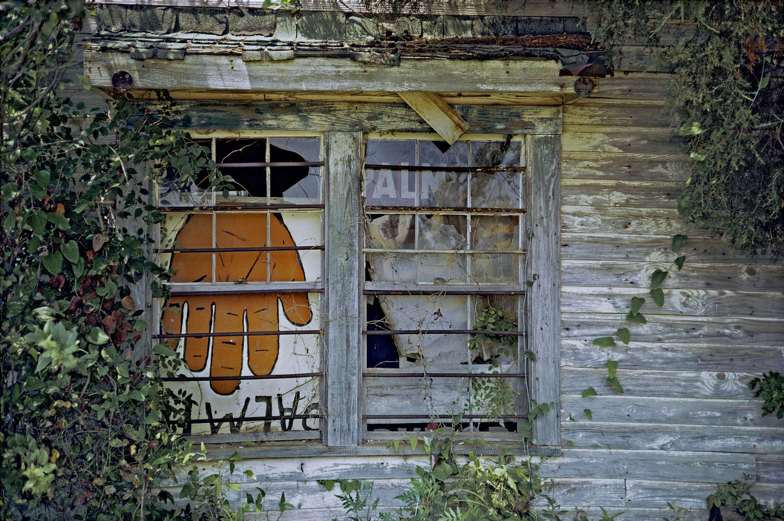 Side of Palmist Building, Havana Junction, Alabama, 1973