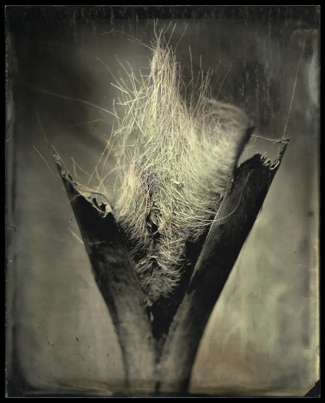 Charlie McCullers & Cecilia Montalvo, Found Object, Study 19, 2018