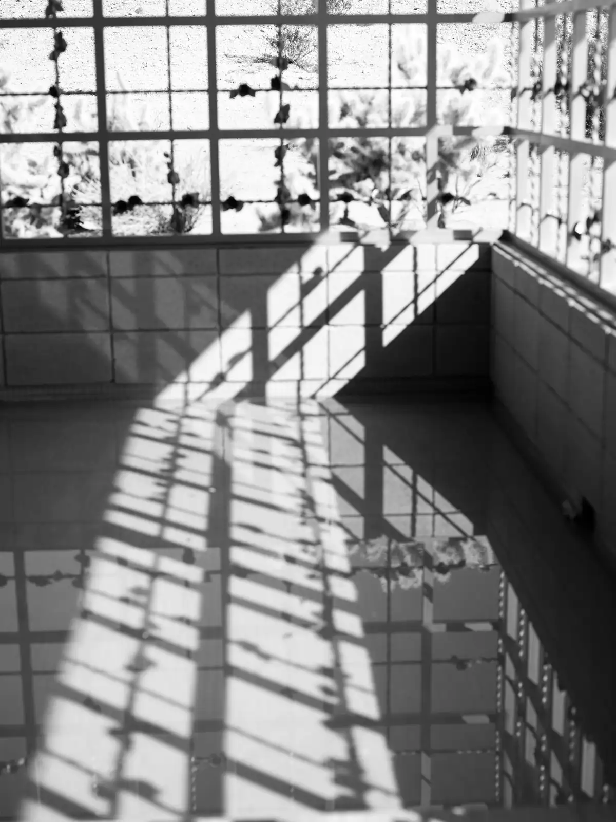 Mona Kuhn, AD 6104, 2013