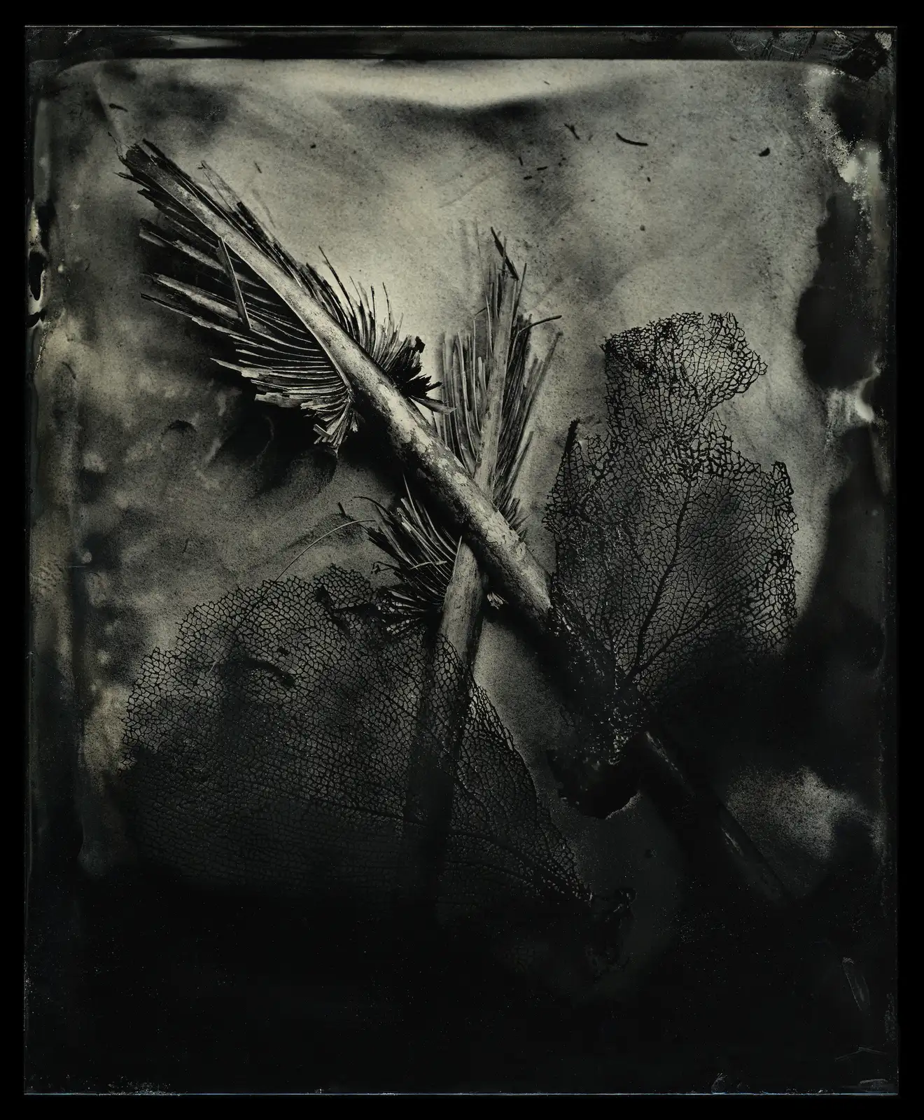 Charlie McCullers & Cecilia Montalvo, Found Object, Study 4, 2018