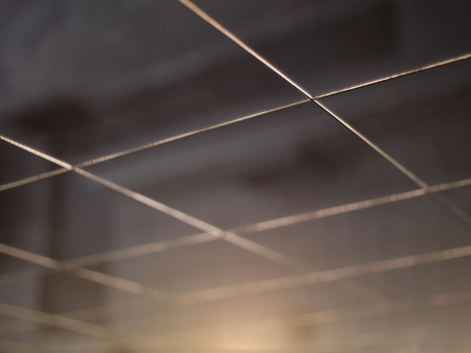 Mona Kuhn, AD 14619, 2013