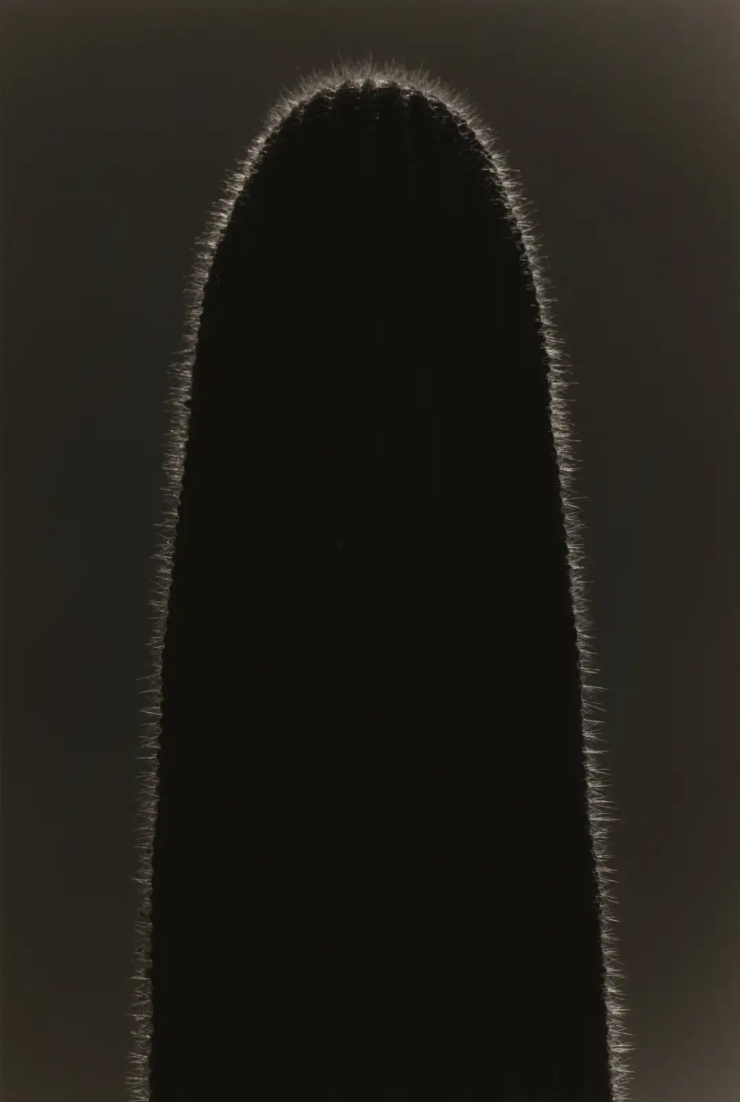 Yamamoto Masao, Kawa=Flow #1629