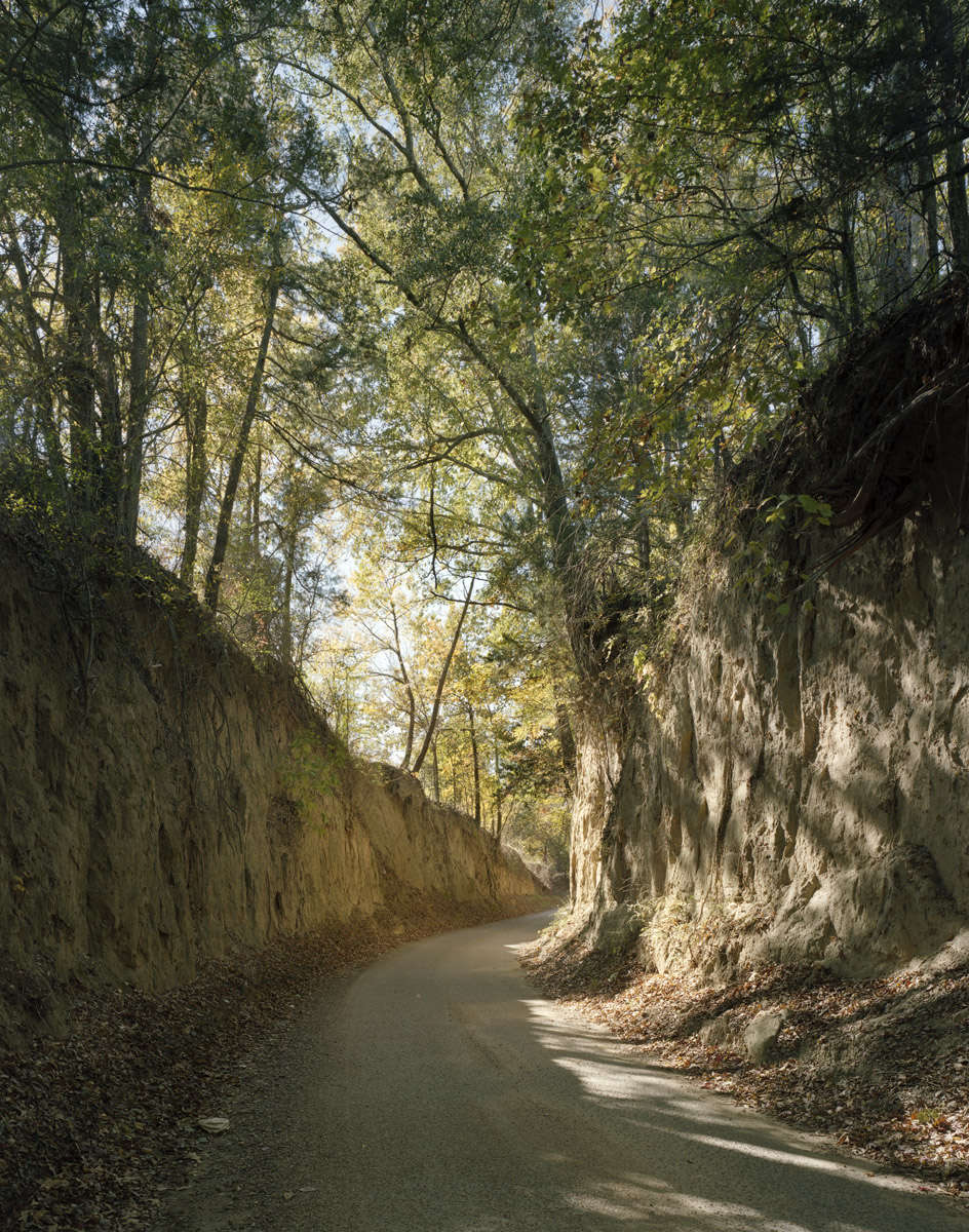 Andrew Moore, Old Vicksburg Road, MS, 2012