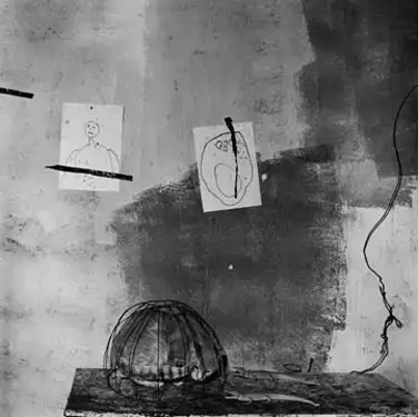 Roger Ballen, Cat in a Basket, 2002