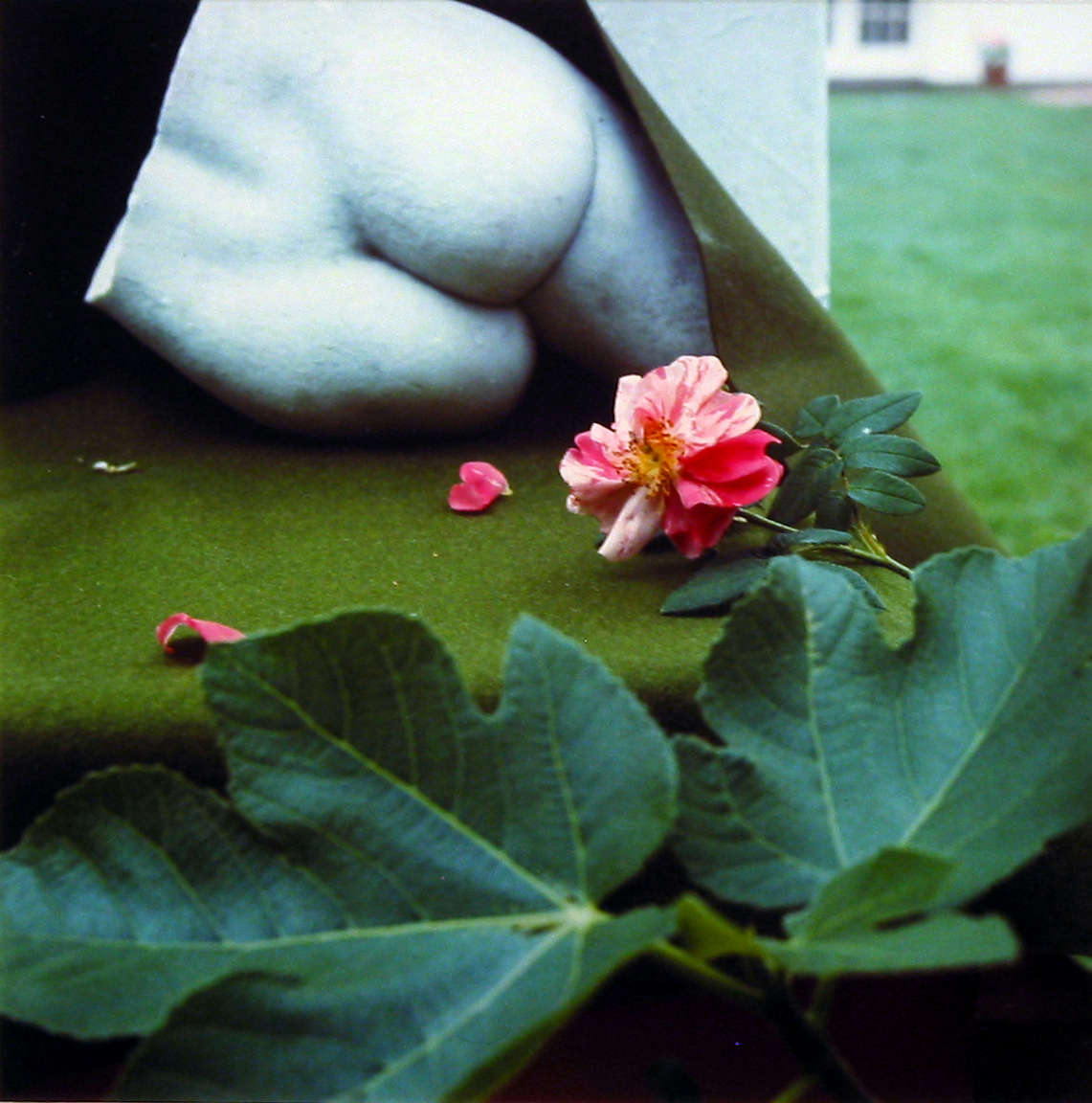 Horst P. Horst, Back Sculpture with Rose