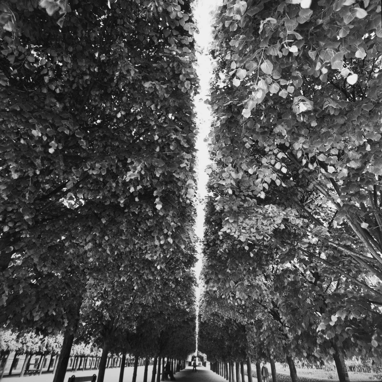 Paris, France, 1st arrondissment. Tulleries Gardens, 2006