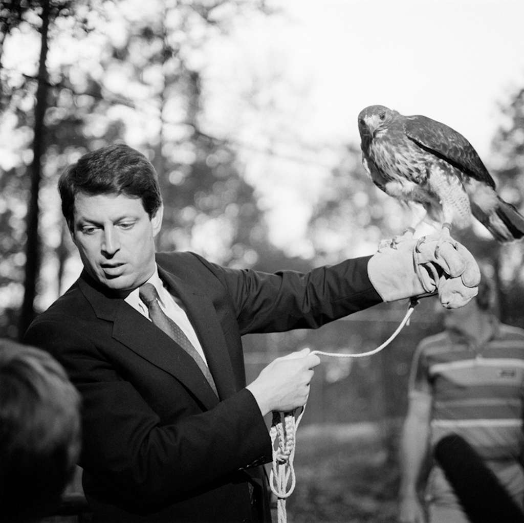 Gore and Falcon, Tallahassee, Florida, 1988