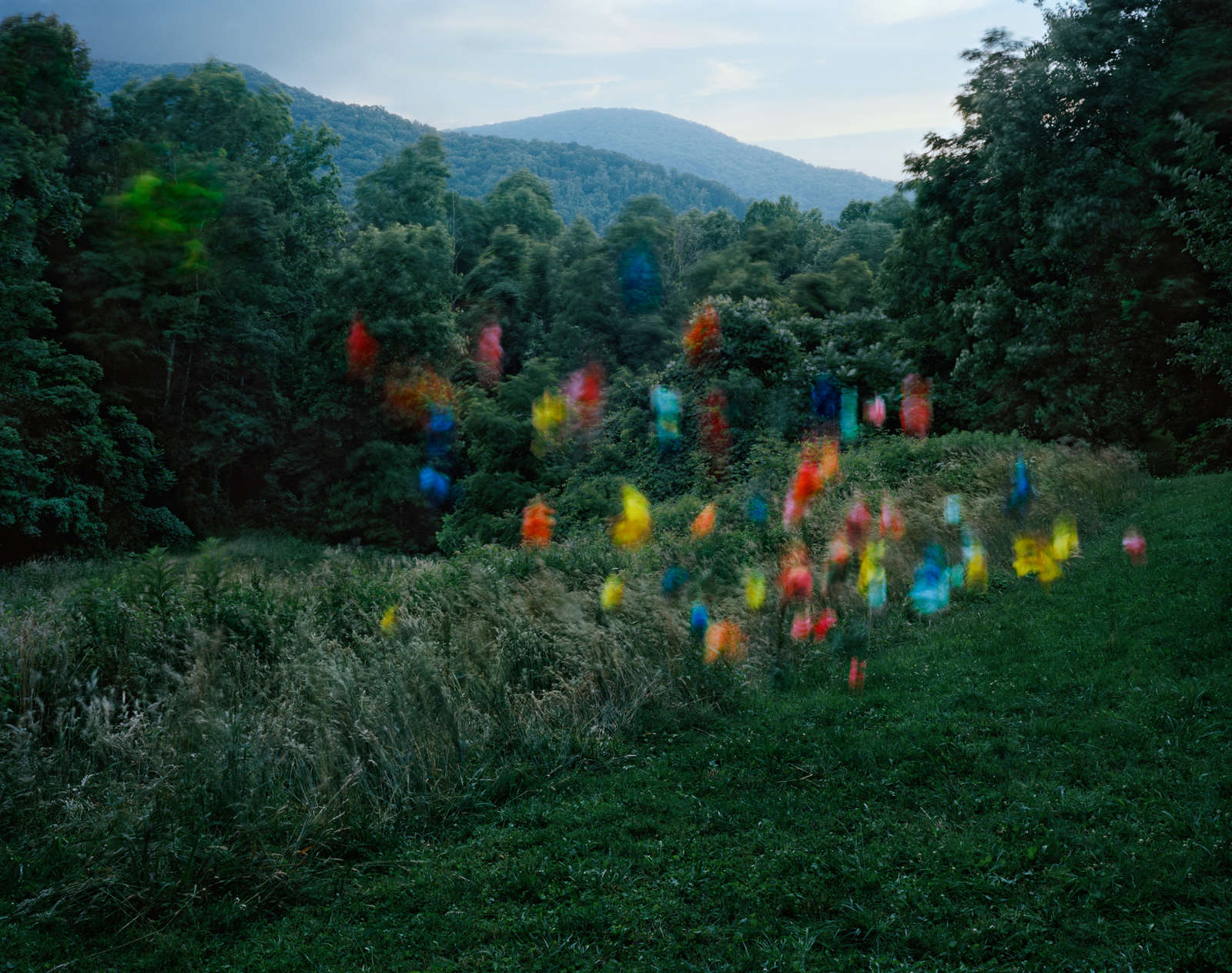 Thomas Jackson, Crumpled Paper no. 1, Weaverville, North Carolina, 2013