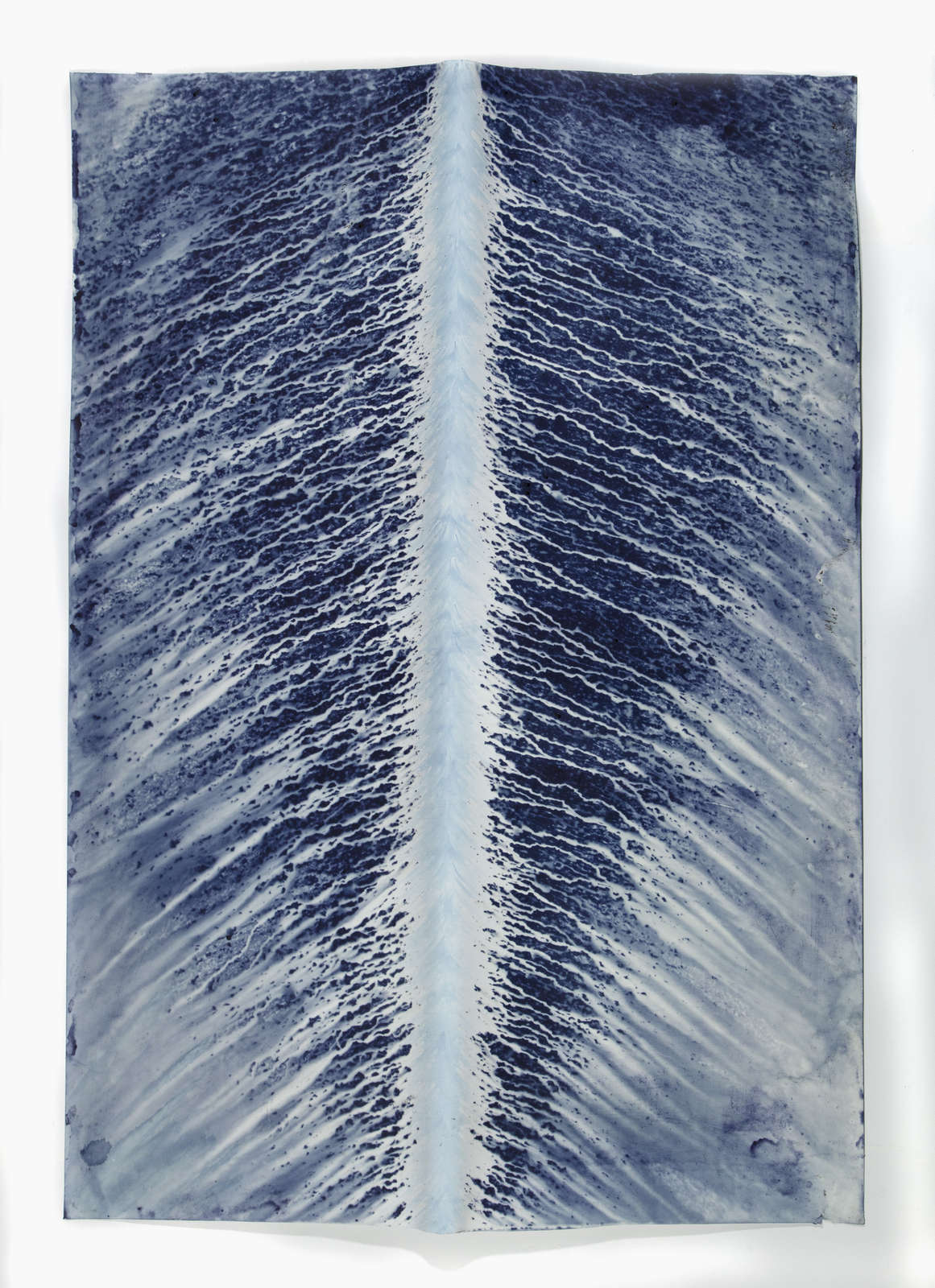 Meghann Riepenhoff, Ecotone #577 (Bainbridge Island, WA 01.15.19, Draped and Propped), 2019