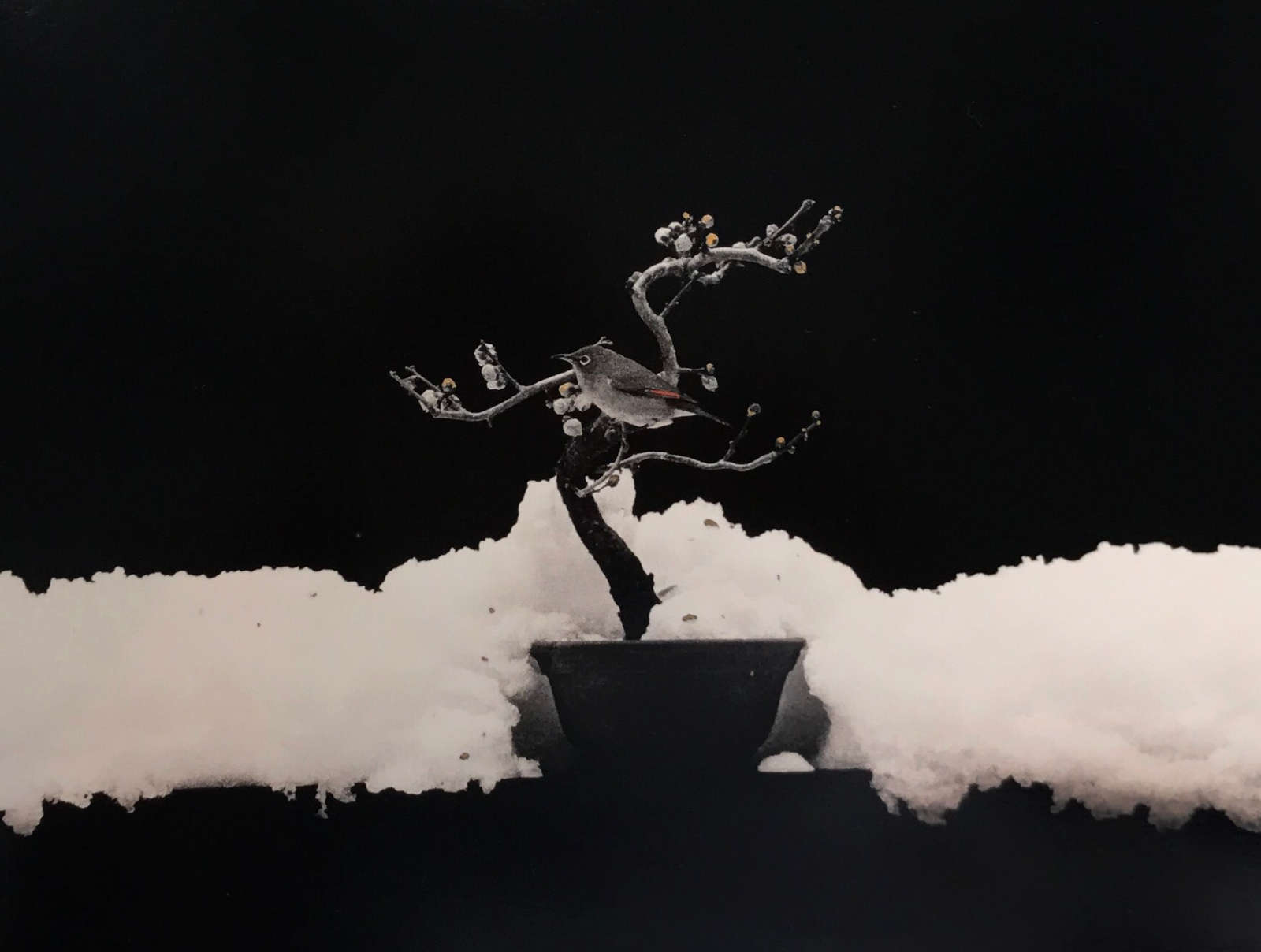 Yamamoto Masao, Kawa=Flow #1675, 2016