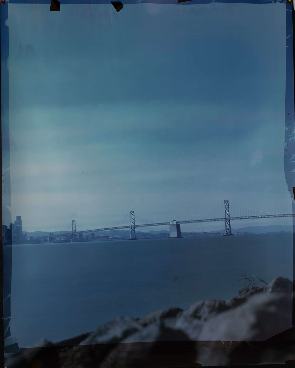 John Chiara, Avenue of the Palms facing the Bay Bridge, Treasure Island, 2024