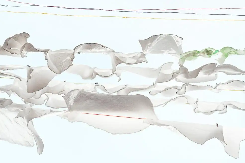 Sally Gall, Tell-tale, 2015