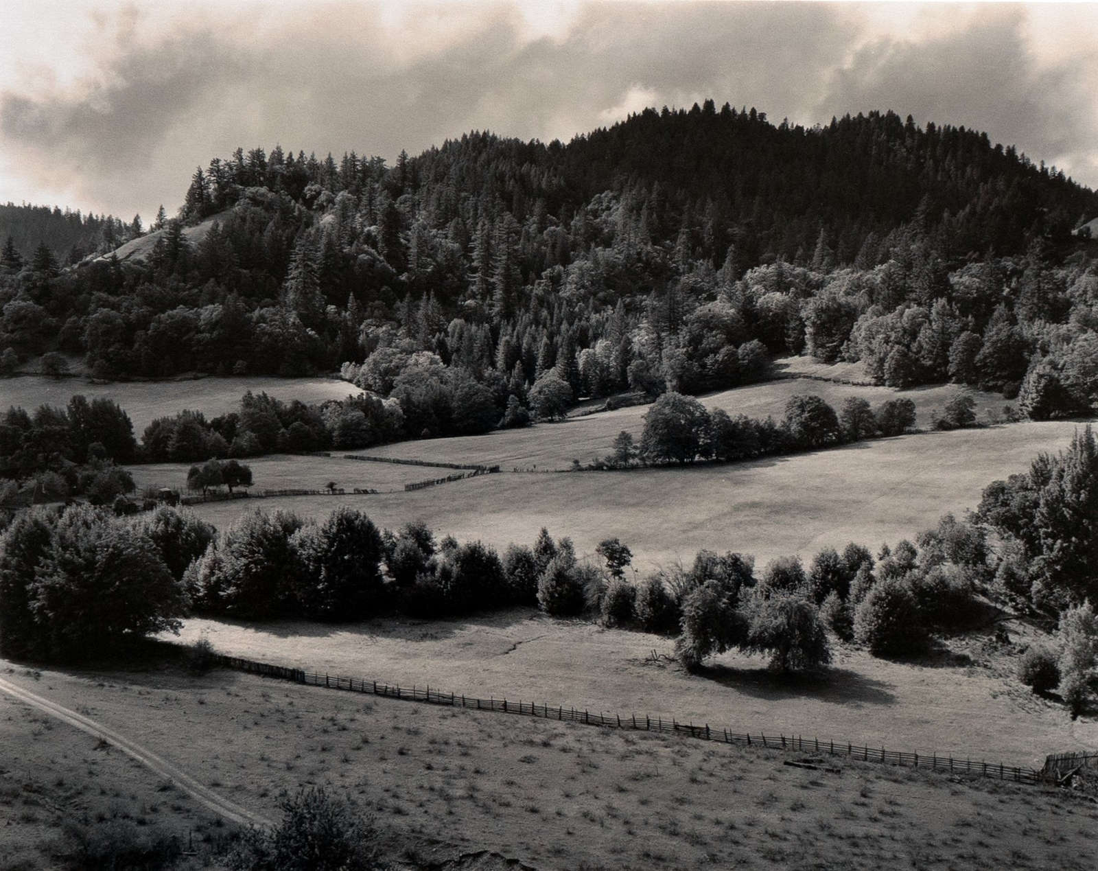Edward Weston, Eel River Ranch, 1937