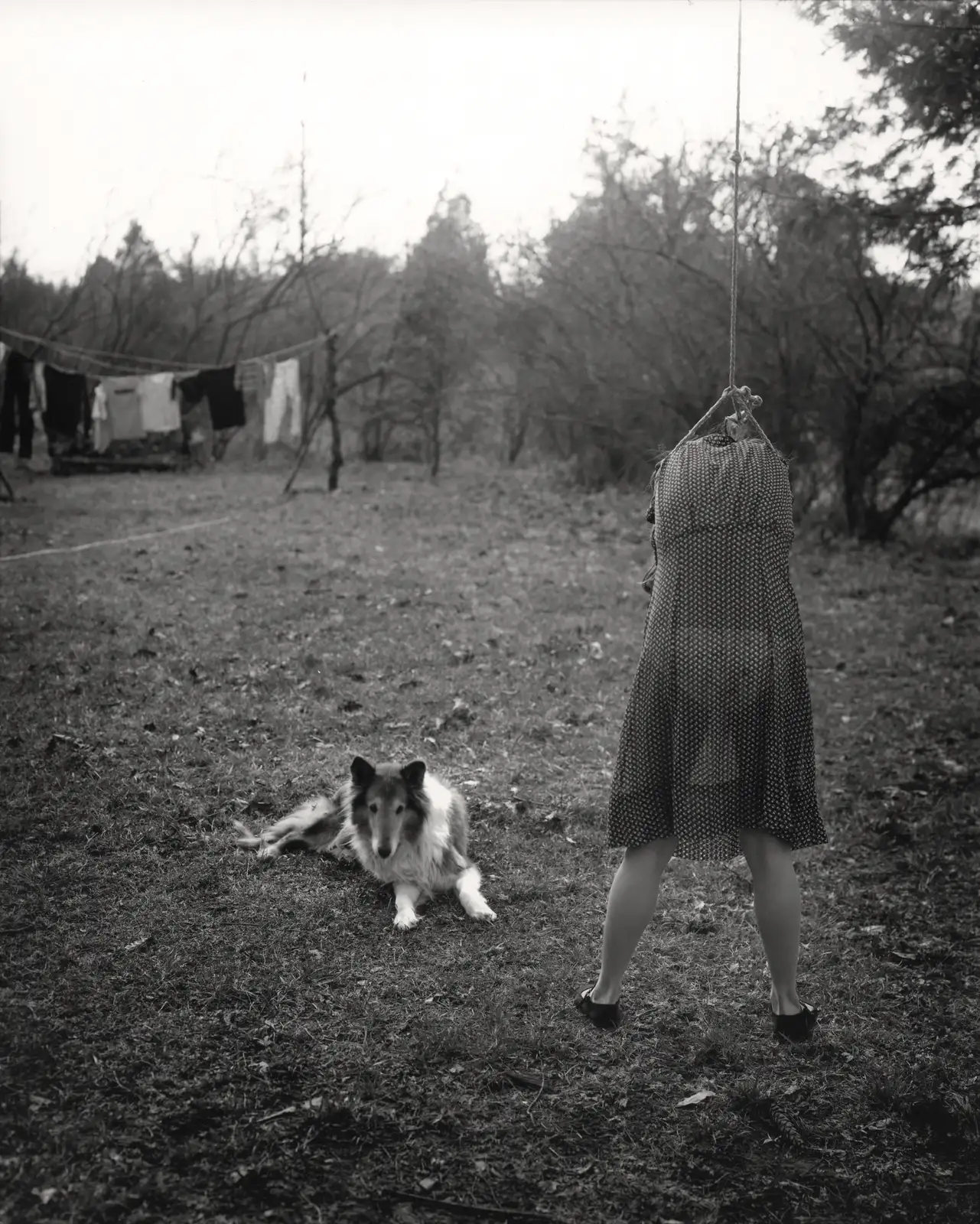 Sally Mann, Jenny Hanging (At Twelve), 1983-1985