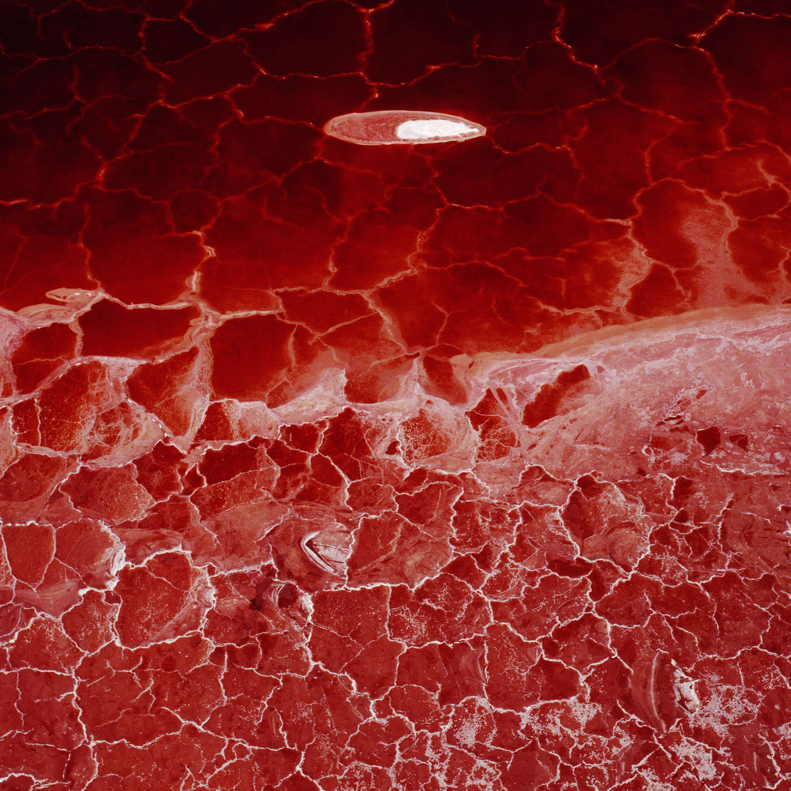 David Maisel, Lake Project #9274-5, 2001, 2003