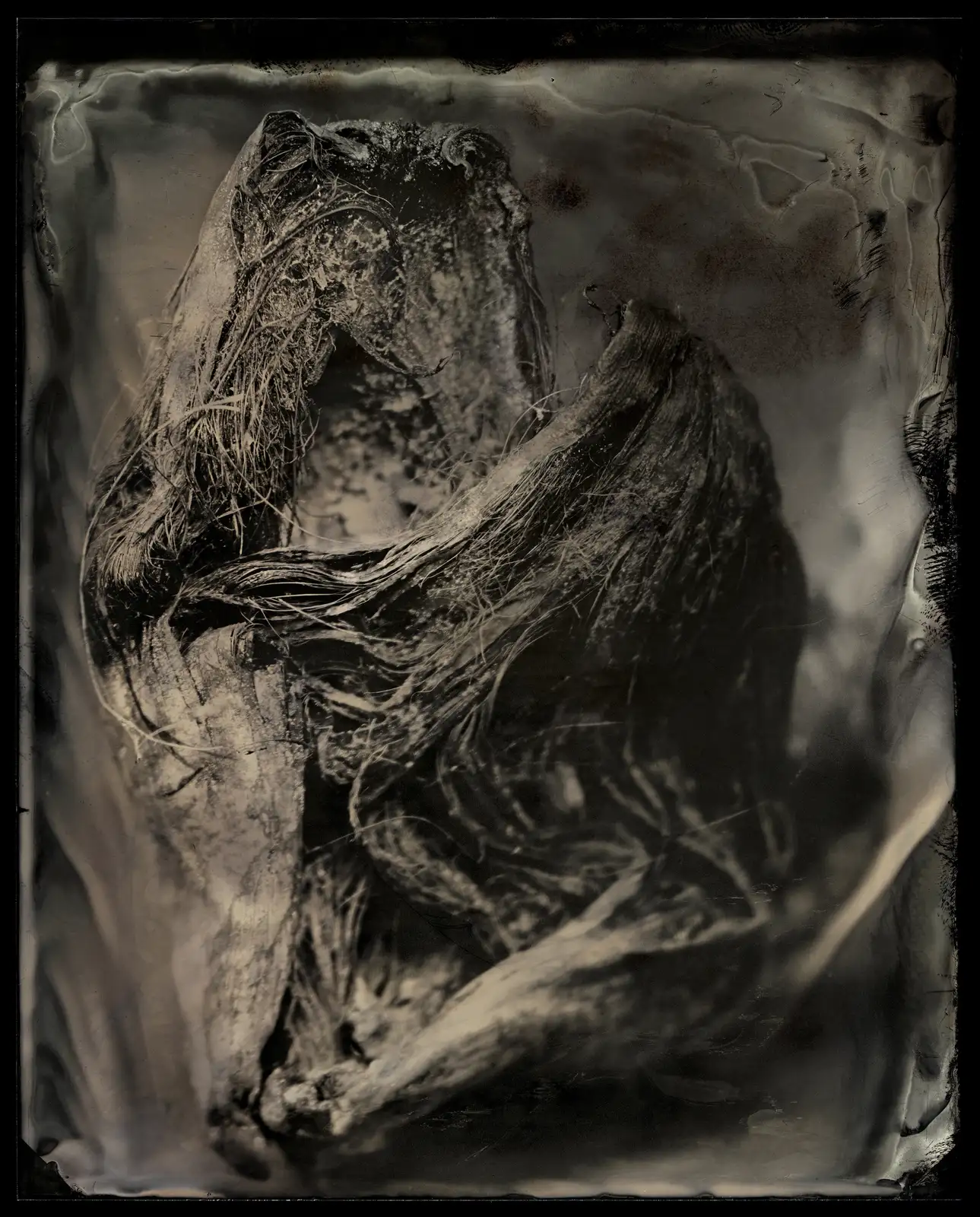 Charlie McCullers & Cecilia Montalvo, Found Object, Study 53, 2018