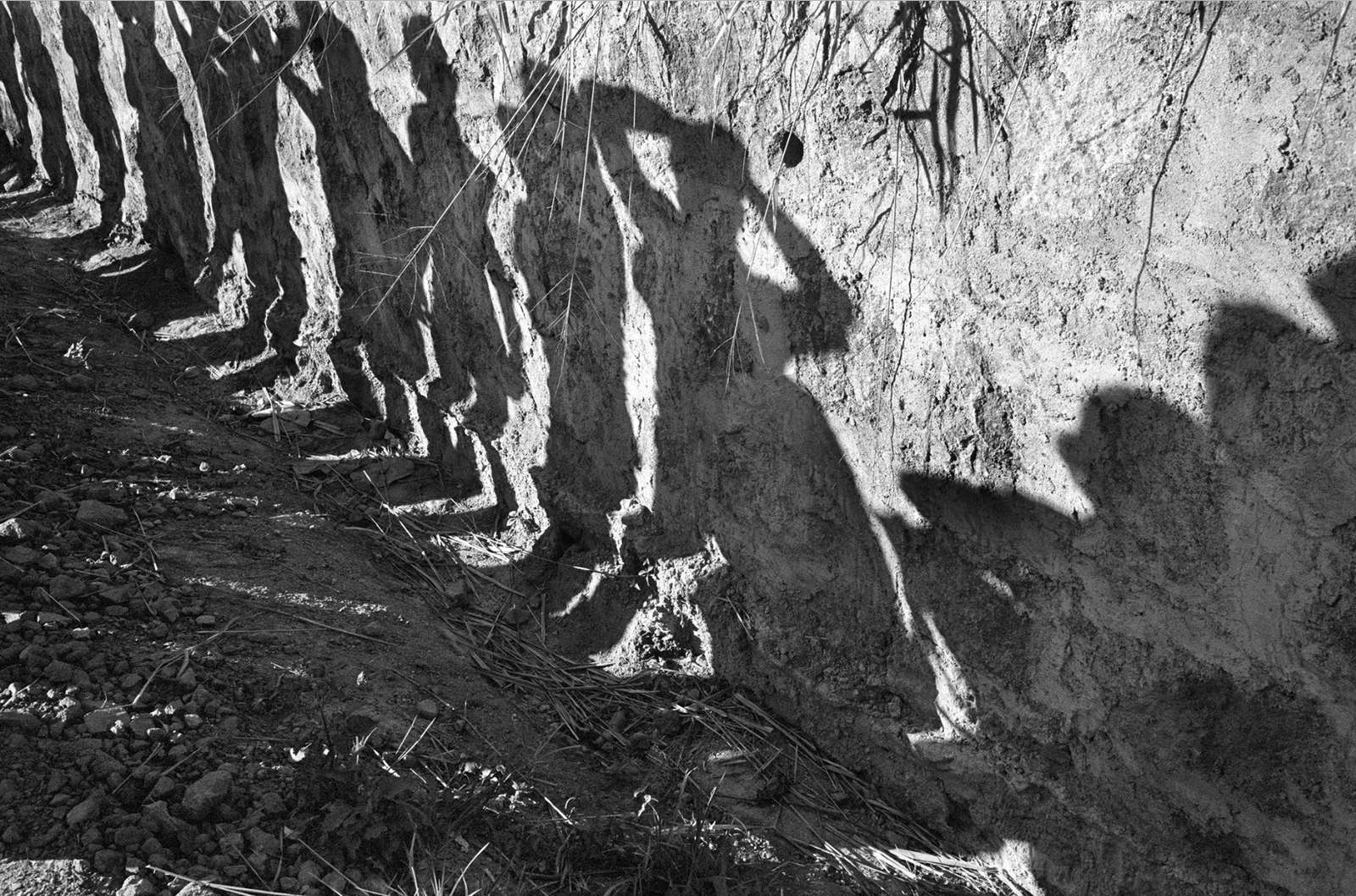 Susan Meiselas, El Salvador (Soldiers search bus passengers along the Northern Highway, near Suchitoto), 1980