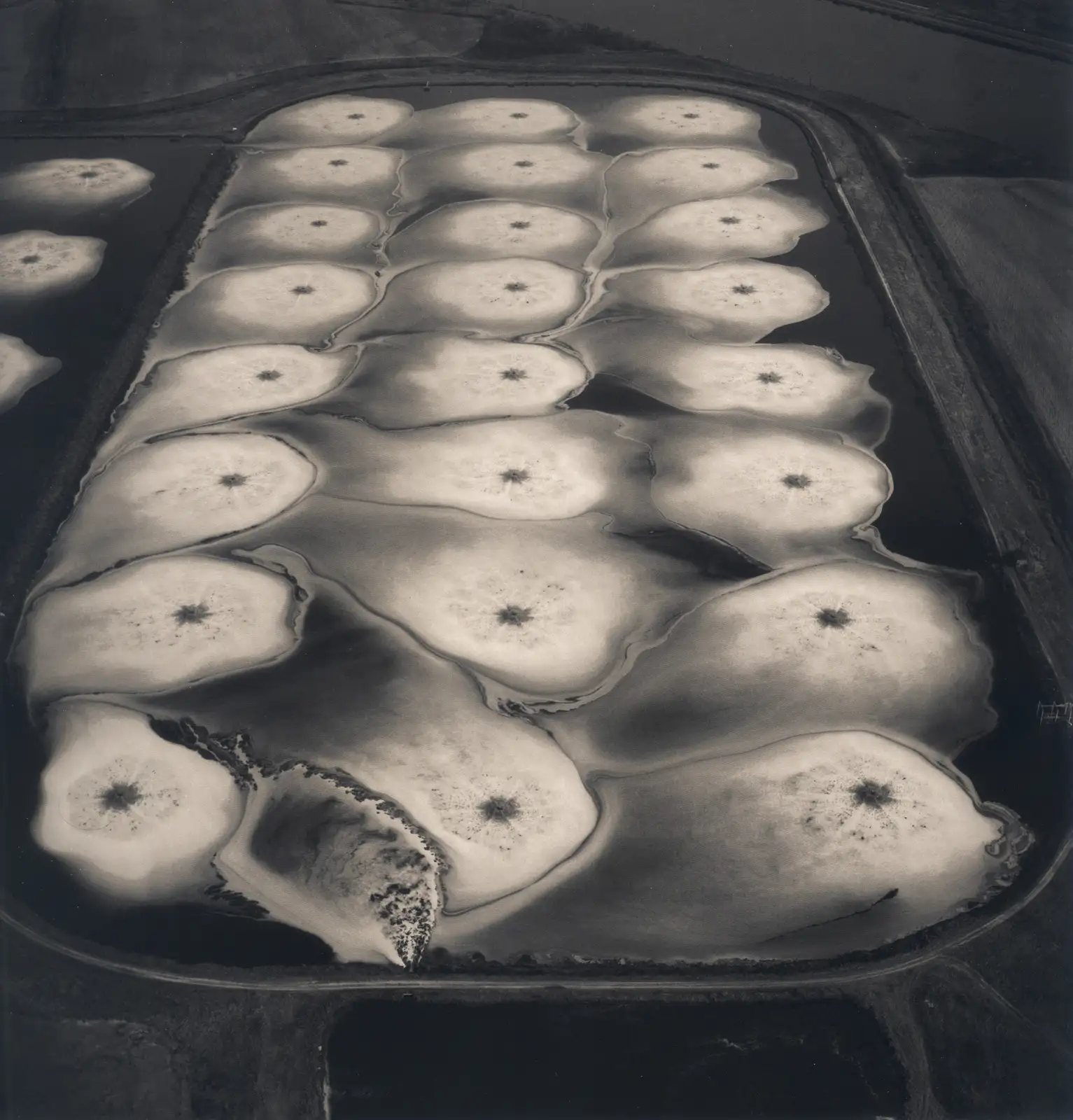 Emmet Gowin, Aeration Pond, Toxic Water Treatment Facility, Pine Bluff, Arkansas, 1989