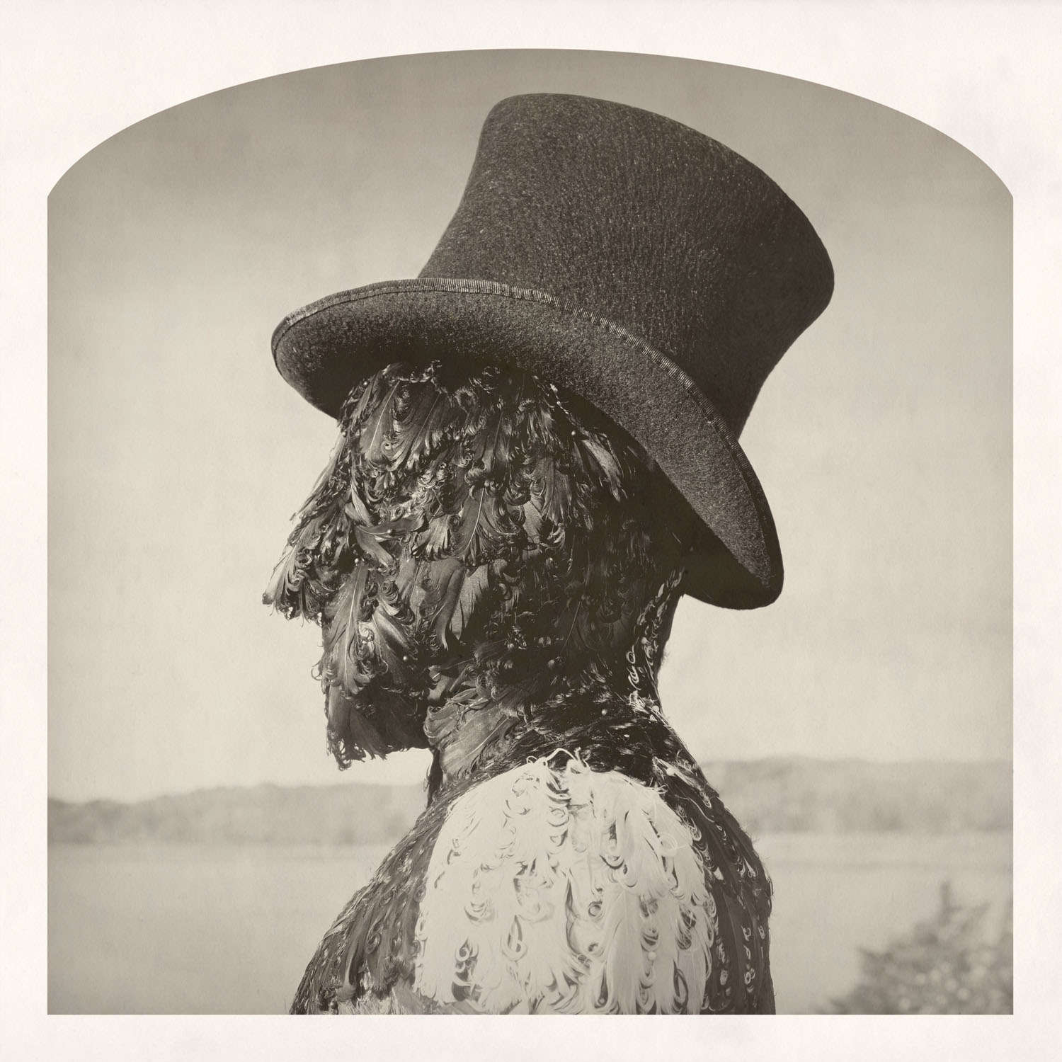 Kahn + Selesnick, Featherman is Abroad, 2013