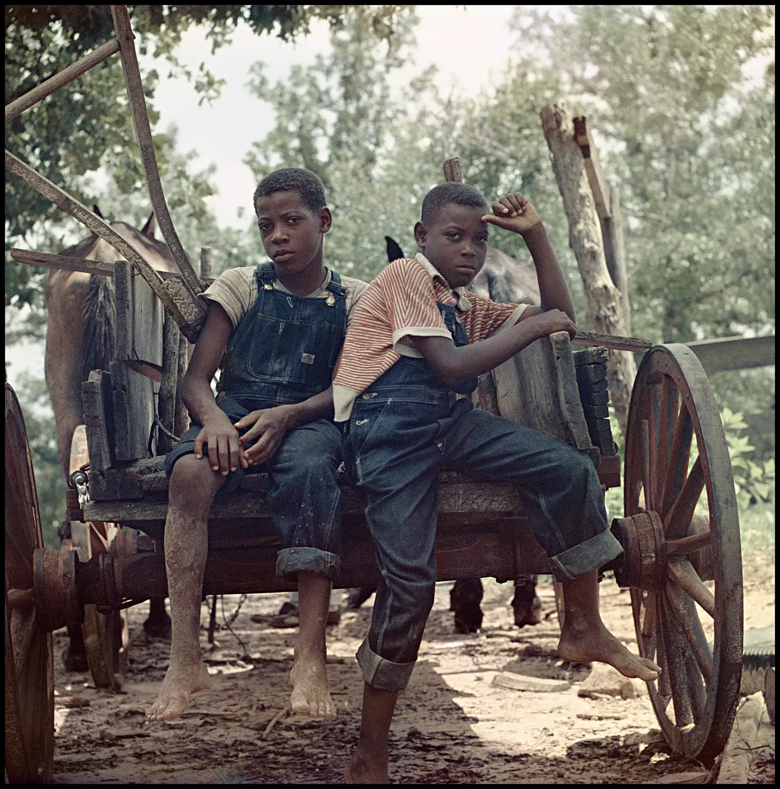 Untitled, Shady Grove, Alabama (37.104), 1956