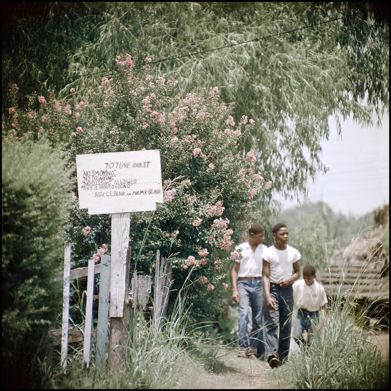 Untitled, Alabama (37.101), 1956