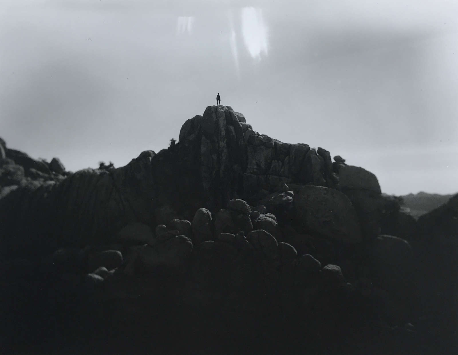 Tommy Nease, Joshua Tree, 2018