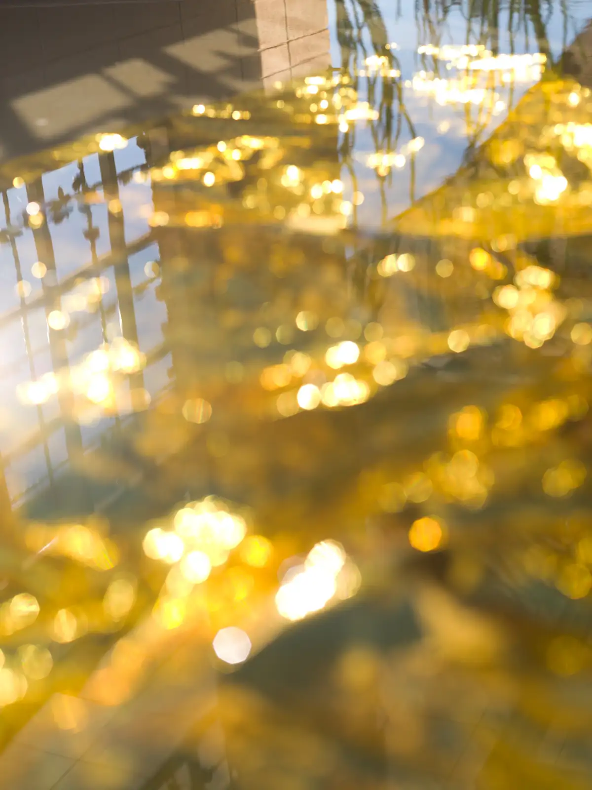 Mona Kuhn, AD 7505, 2013