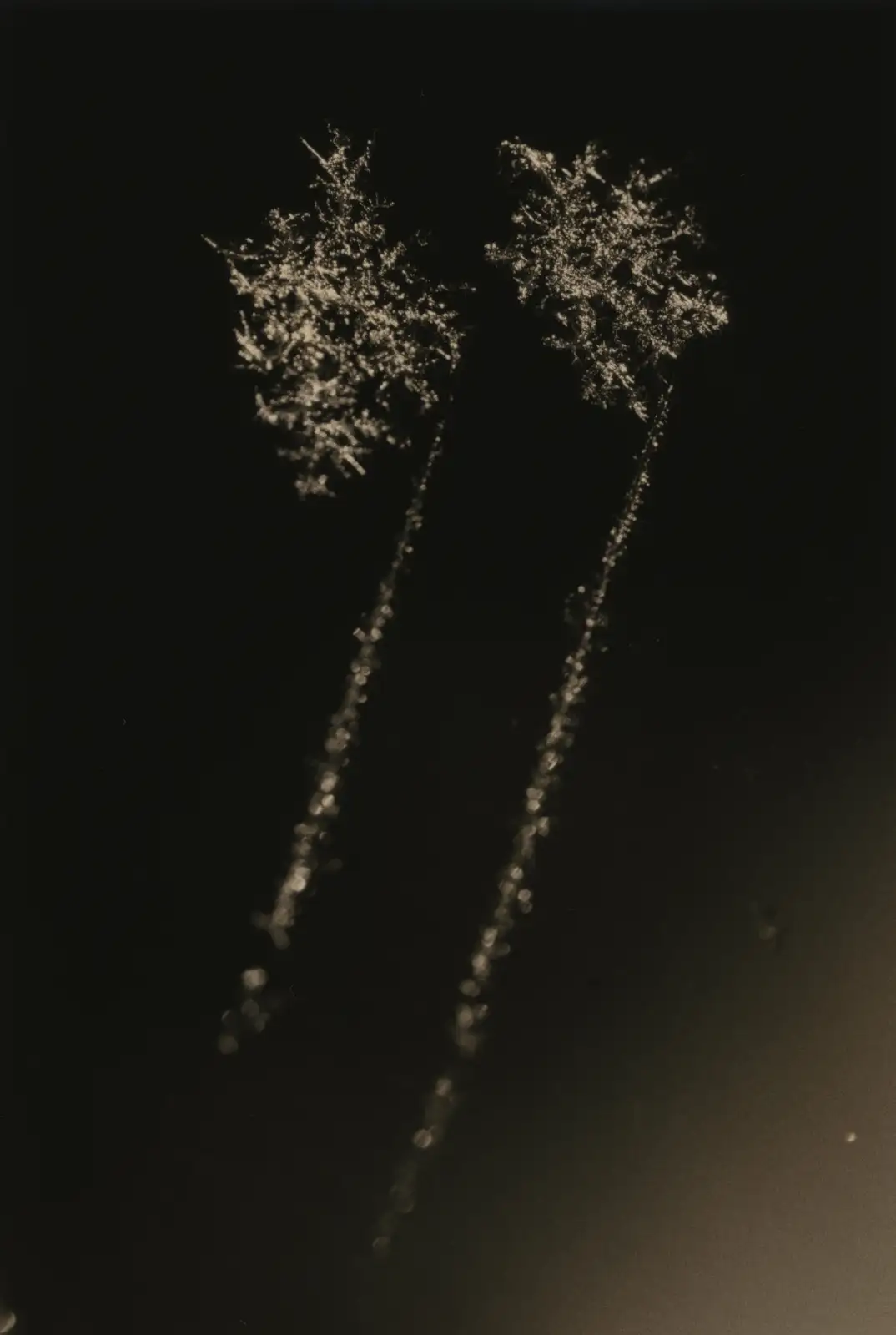 Yamamoto Masao, Kawa=Flow #1636