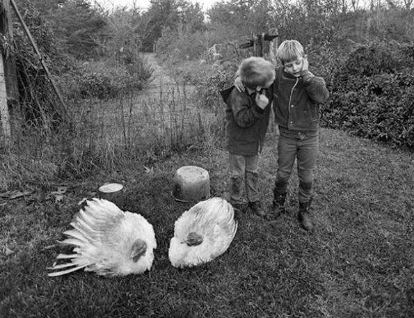 Emmet Gowin, Barry, Dwayne and Turkeys, Danville, Virginia,, 1970