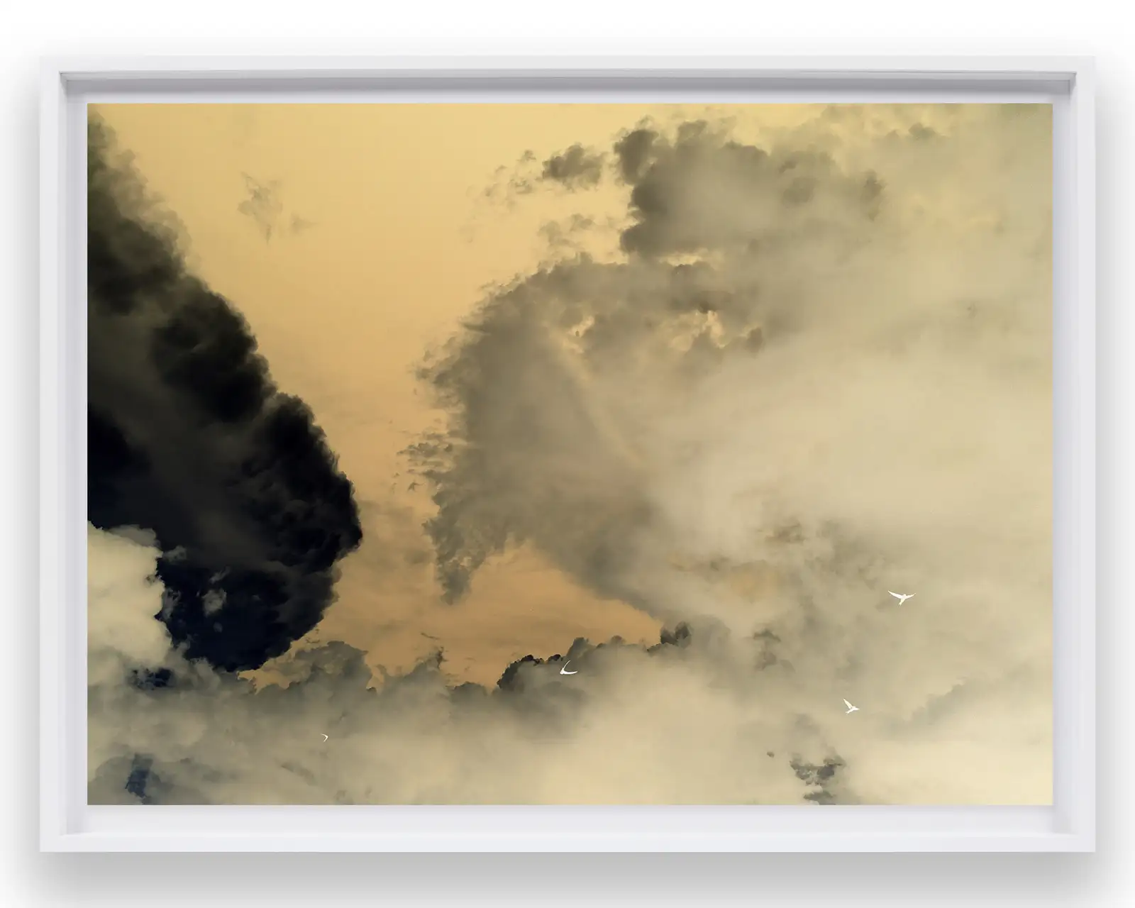 Richard Misrach, Clouds and Birds, June 10 2018 1:15pm, France, 2018