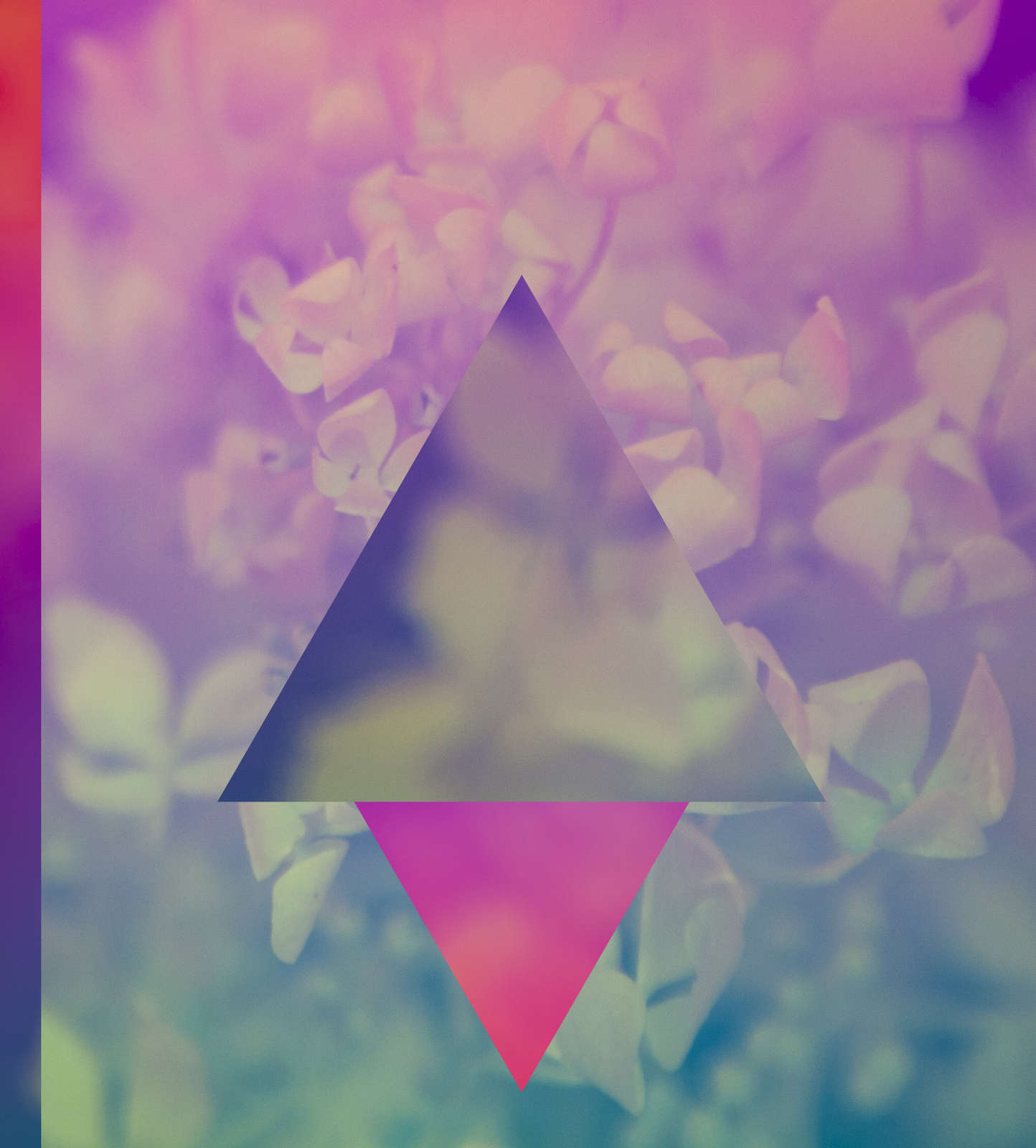 Daniel Soder, Untitled #5, 400 – 700Nm