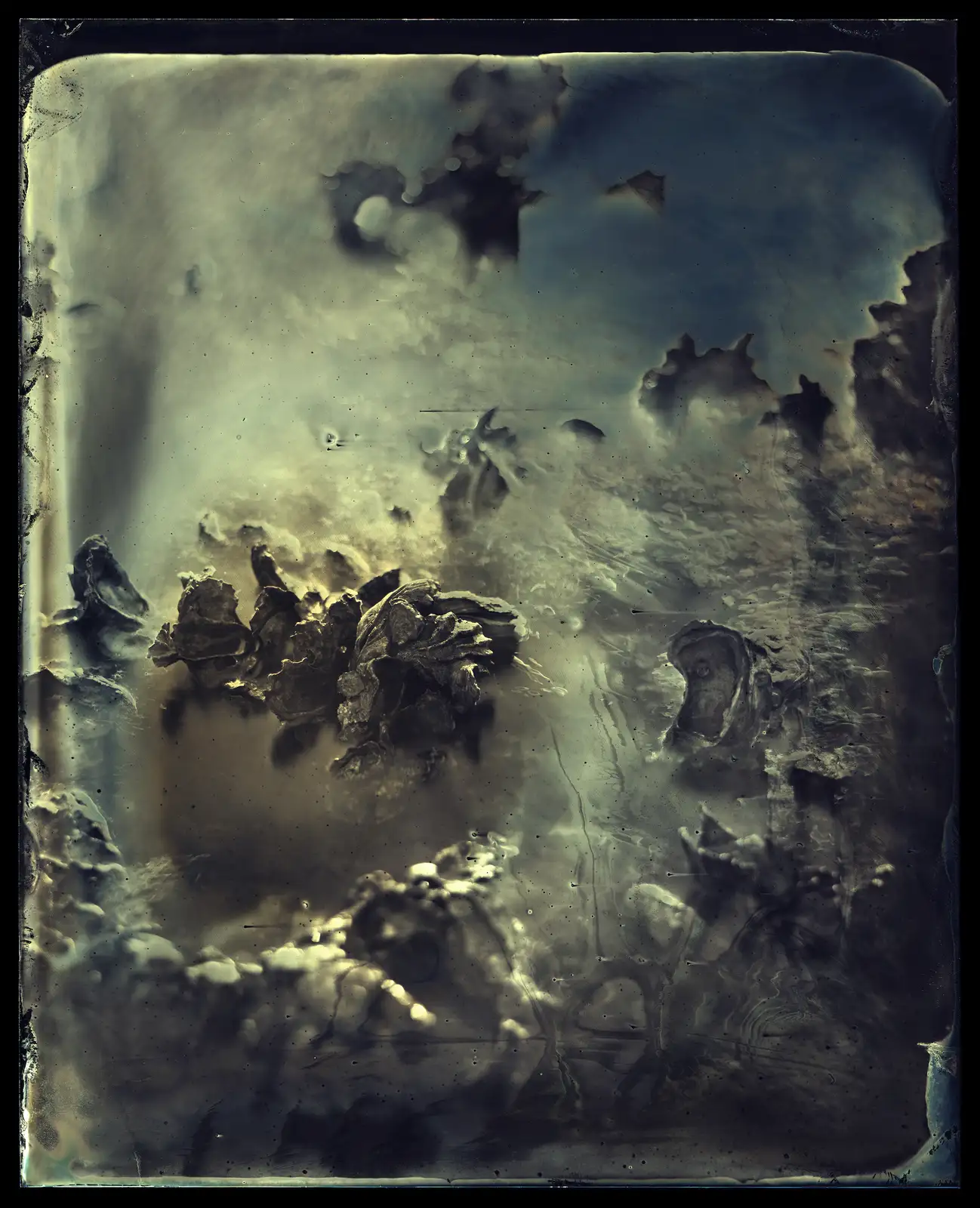 Charlie McCullers & Cecilia Montalvo, Barrier Island, Study 350, 2018