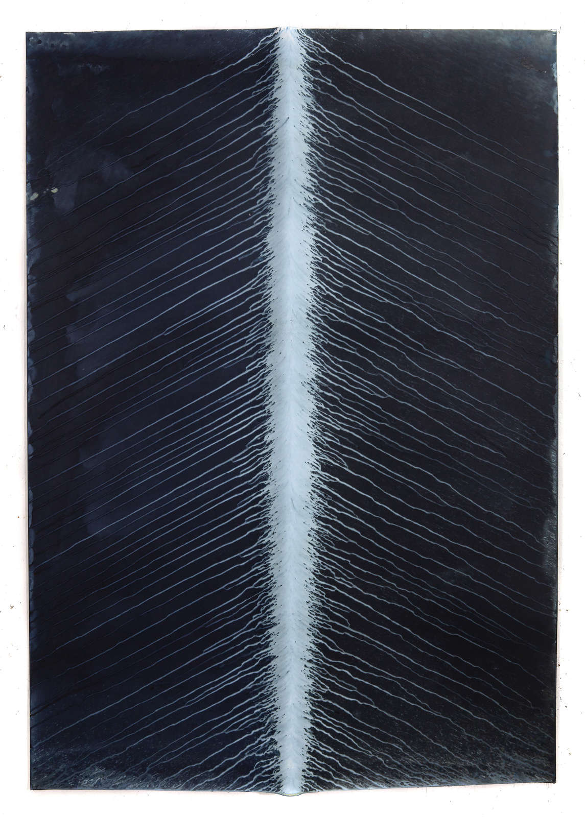 Meghann Riepenhoff, Ecotone #440 (Bainbridge Island, WA 06.21.18 Solstice Drizzle, Draped on Car + Pole) , 2018