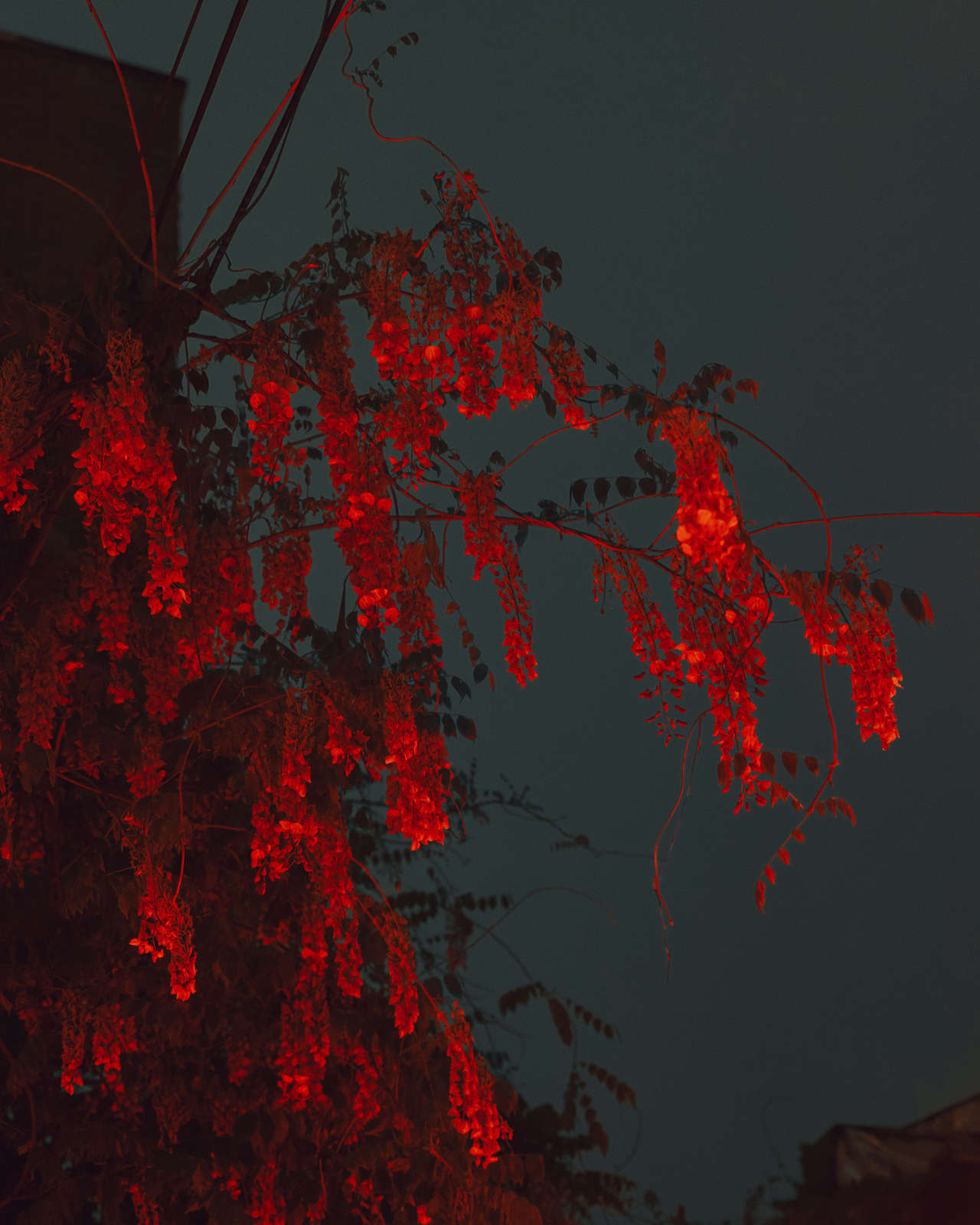 Untitled #4, 2017-2018