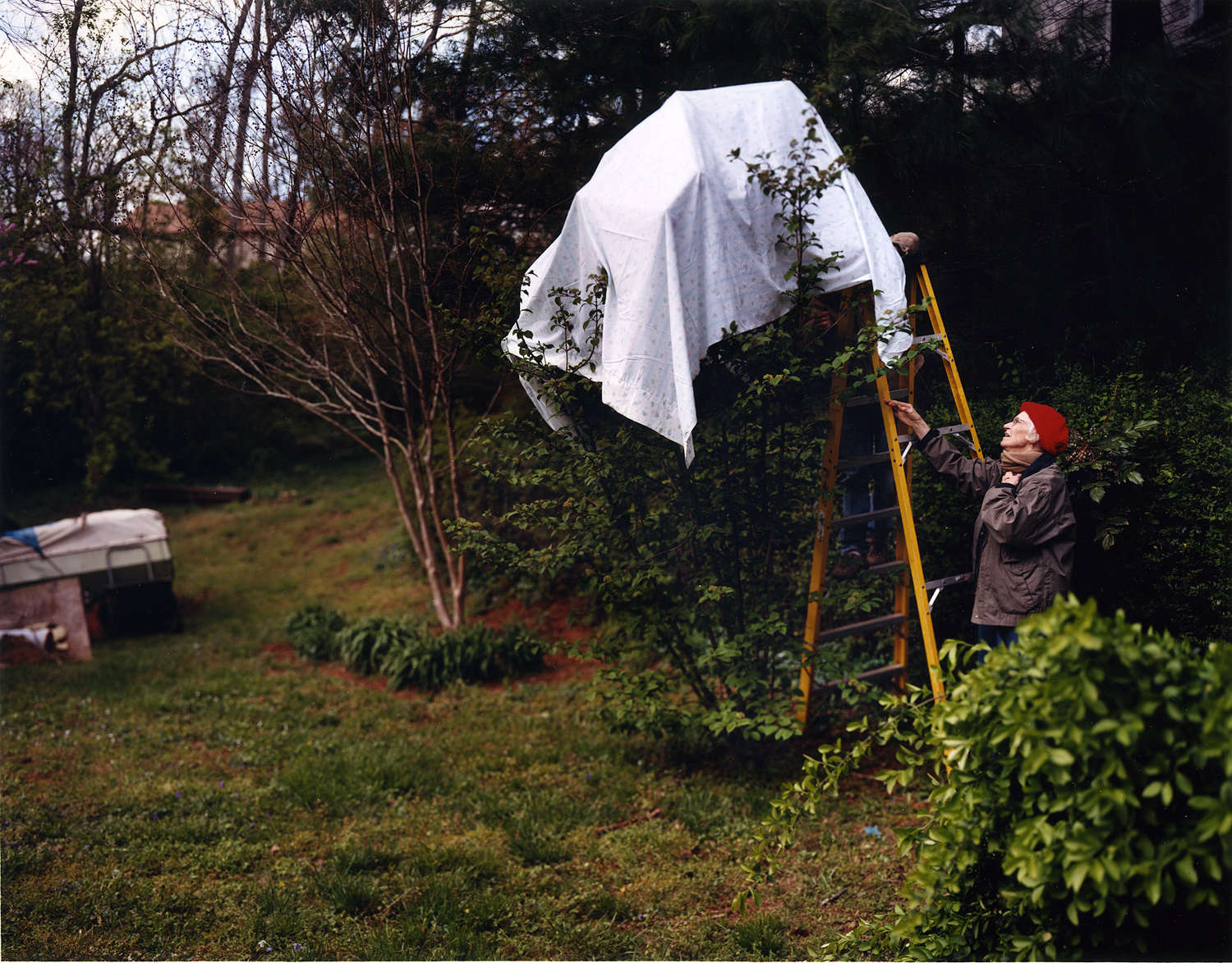 Angela West, Blackberry Winter, 2003