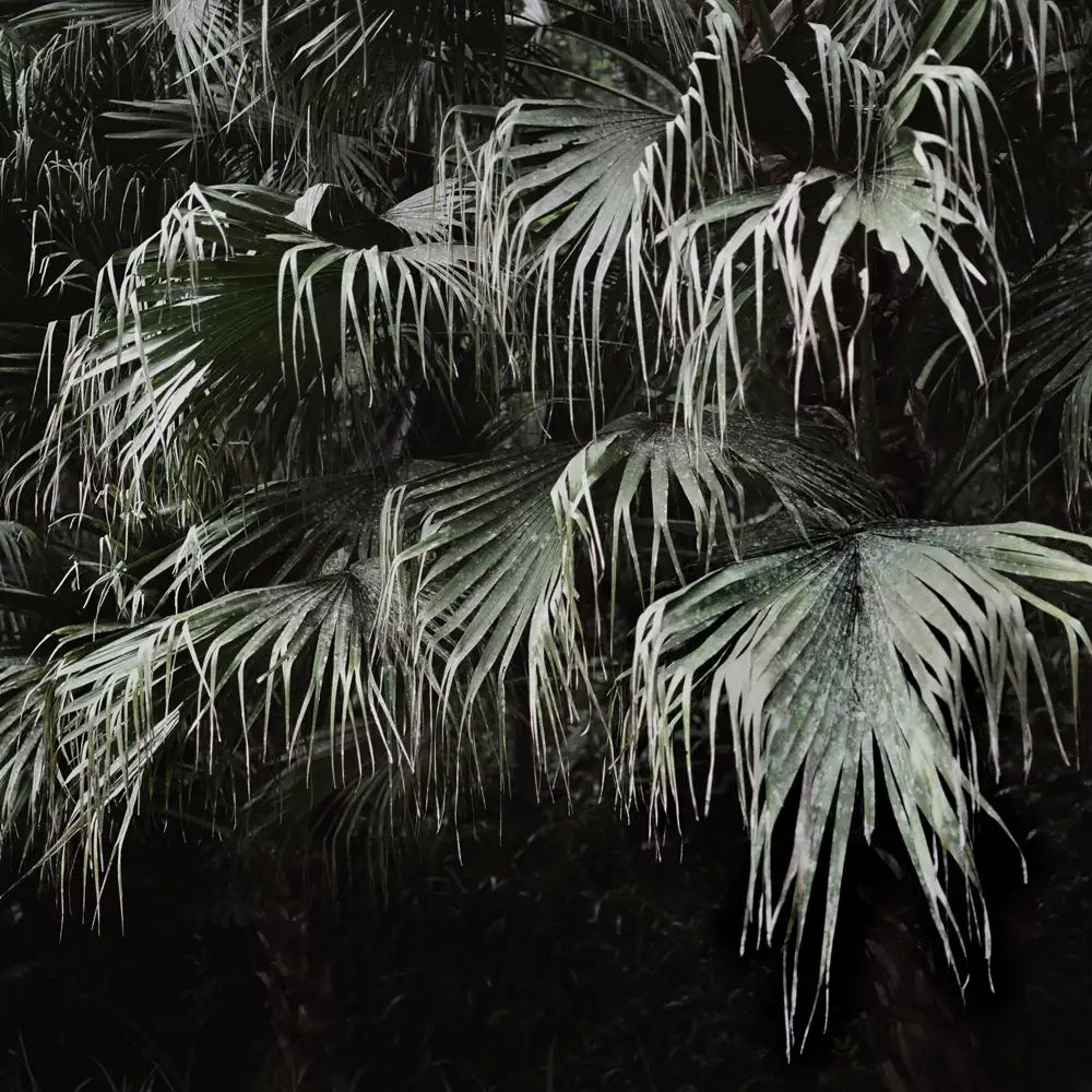 Mona Kuhn, Winter, 2009