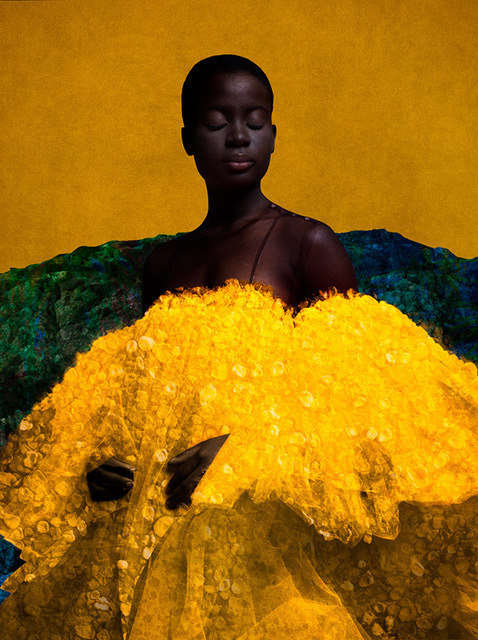 The Third Roseline, 2025