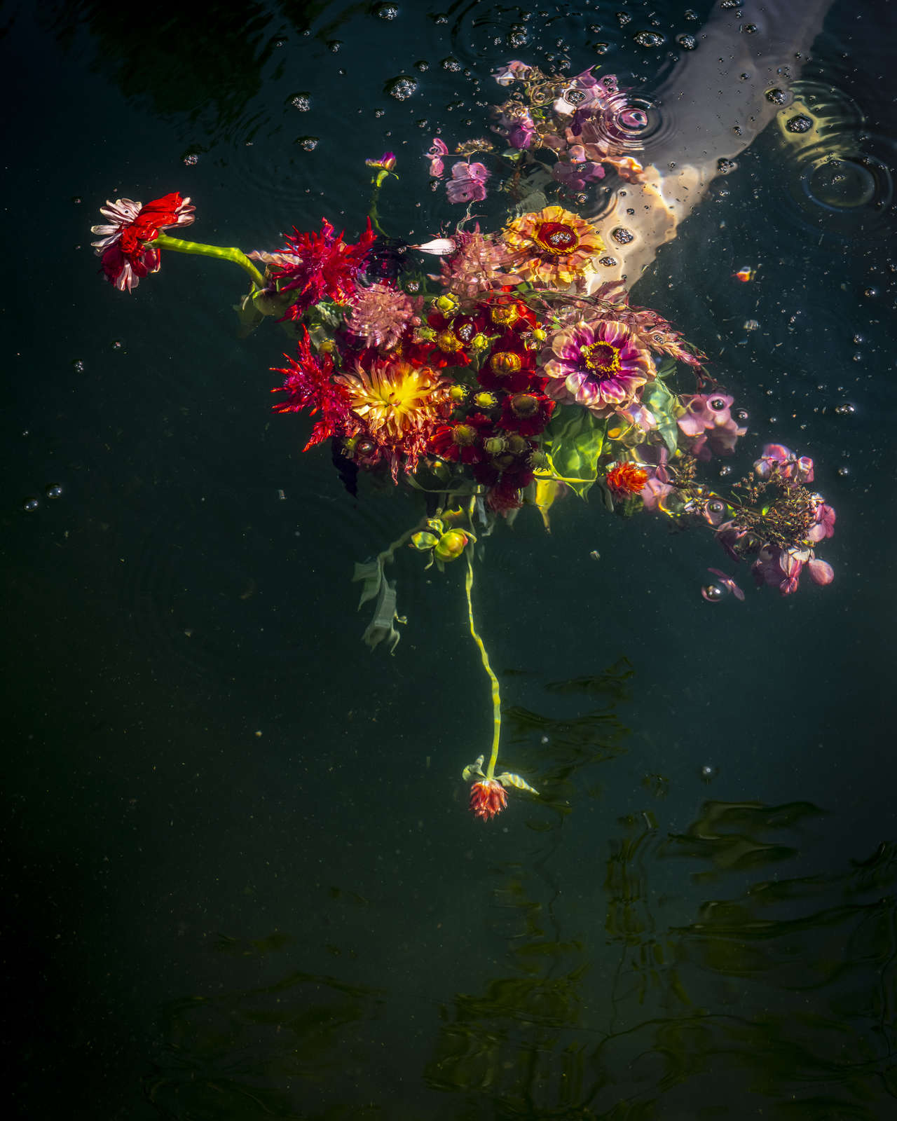 Pink is a Touch, Red is a Stare, St George, Maine, 2019