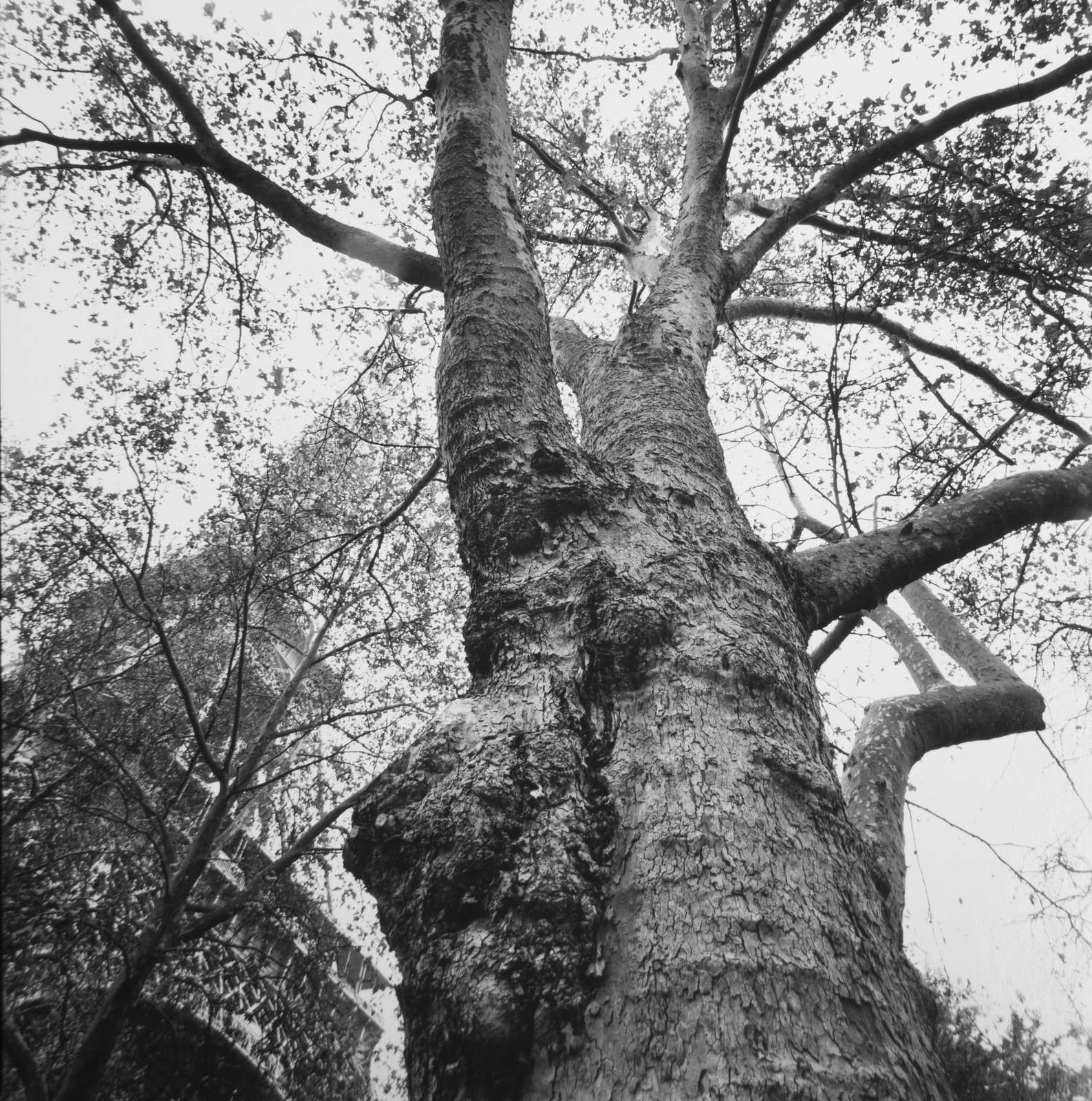 Paris, France, 7th arrondissment. The Eiffel Tower, 2006