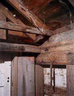 Scott McFarland, Corner