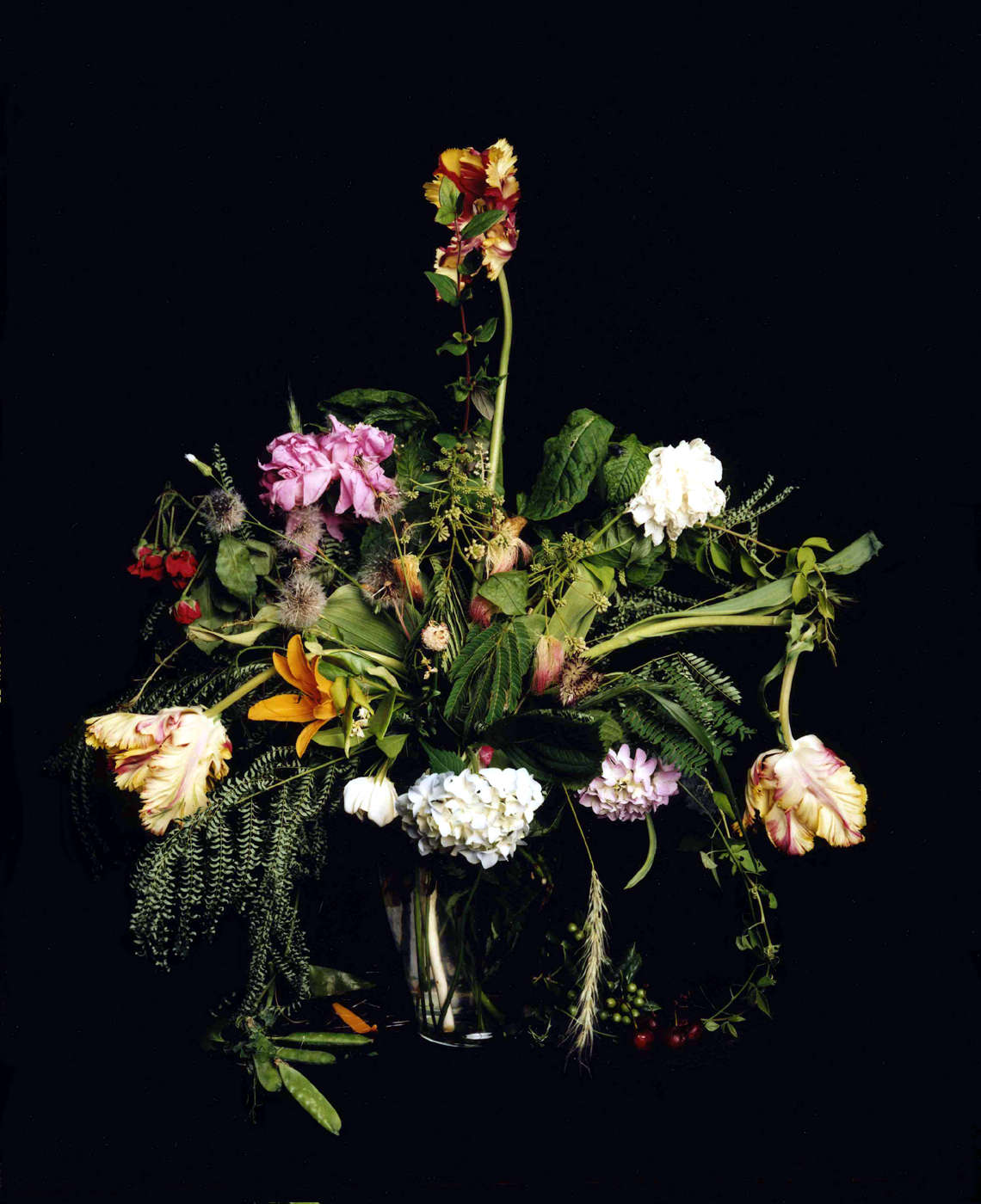 Angela West, Summer Still Life #1, From the series: Nature Morte, 2004