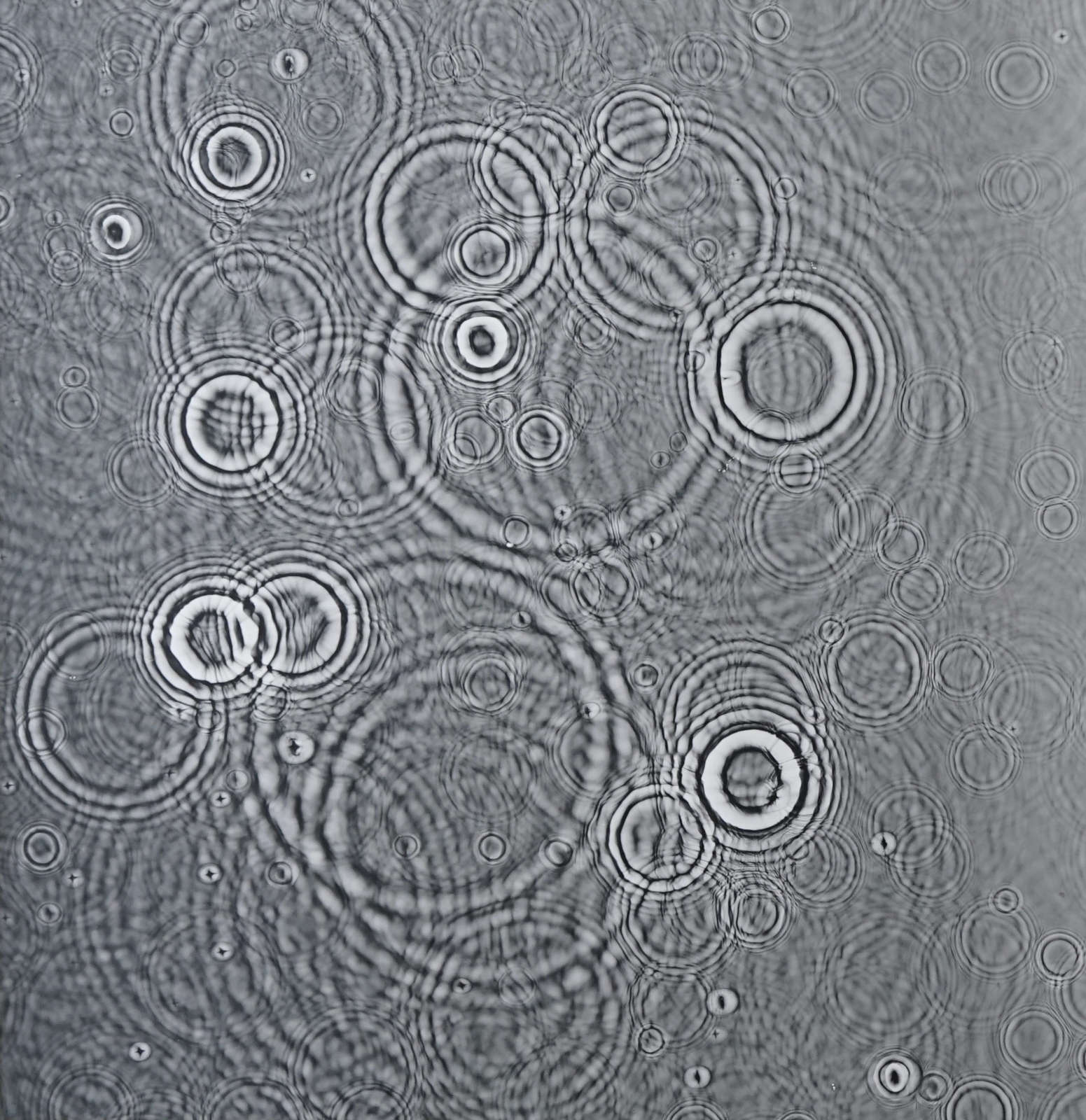 Adam Fuss, Untitled, (Droplets), 2007