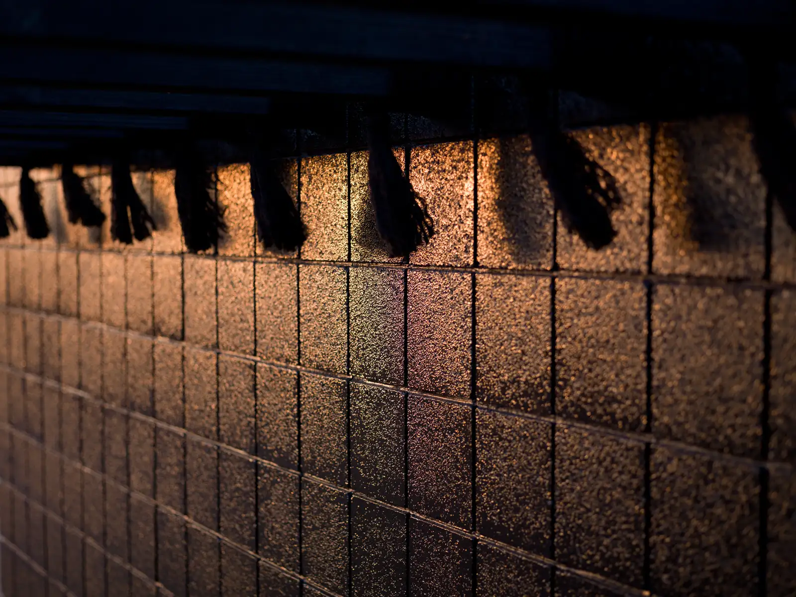 Mona Kuhn, AD 14702, 2013