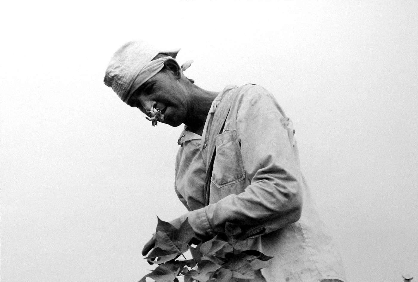 Danny Lyon, Prisoner Working with Flower in Mouth, 1968