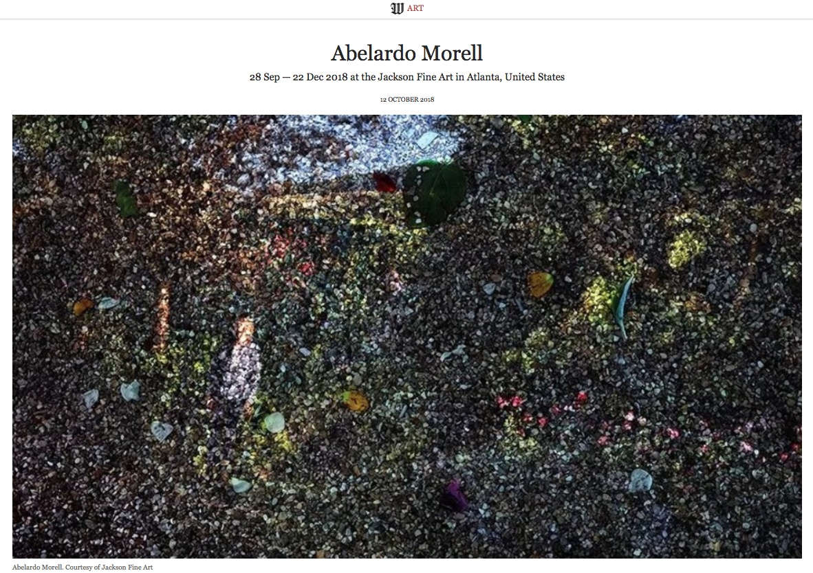 Abelardo Morell, After Monet