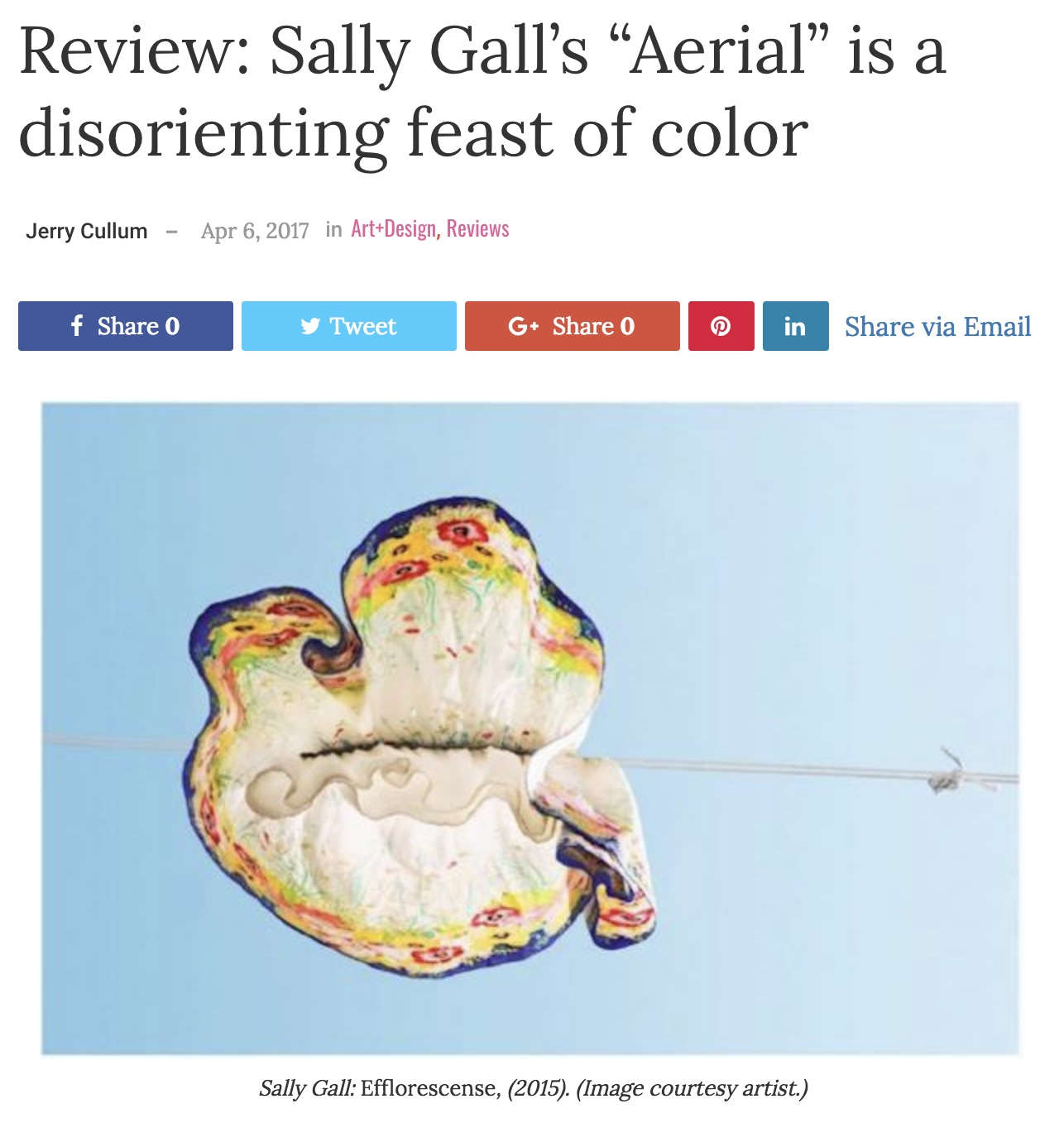 Review: Sally Gall's 