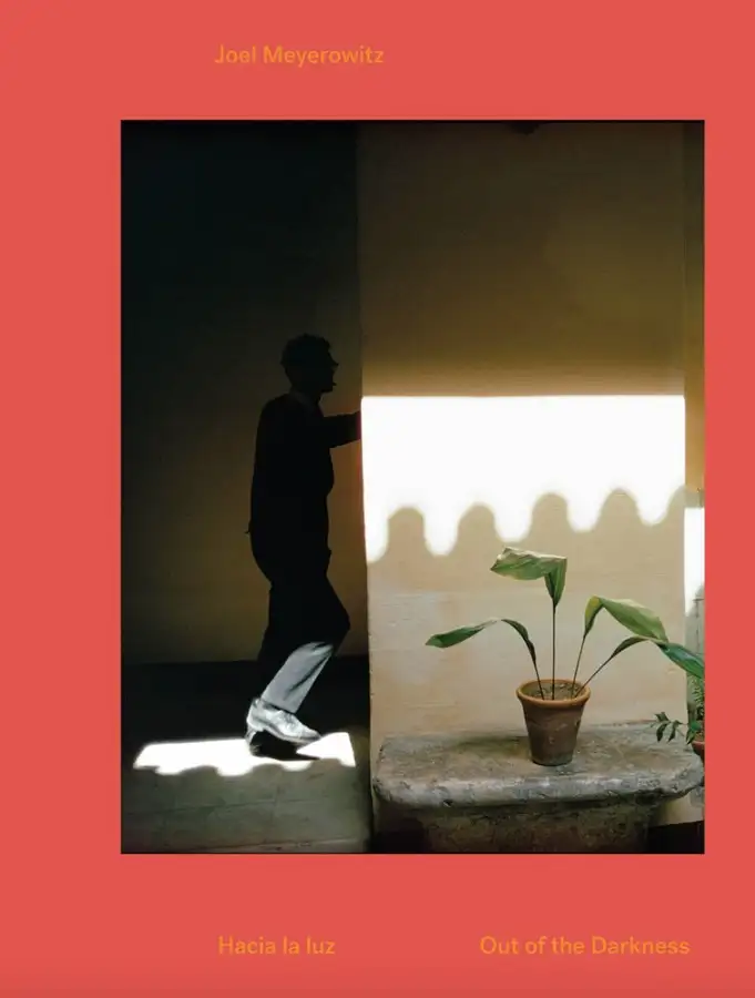 Joel Meyerowitz: Out of the Darkness