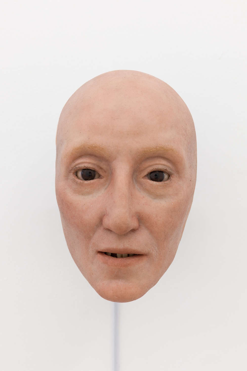 Mat Collishaw, 'The Mask of Youth', 2018, Acrylic, aluminium, brass, electrical circuitry, glass, paint, PIR motion sensor, silicone, squirrel hair, steel, wood, 132 x 118 x 25 cm. Courtesy of the artist and Brooke Benington. Photo: Rob Harris.